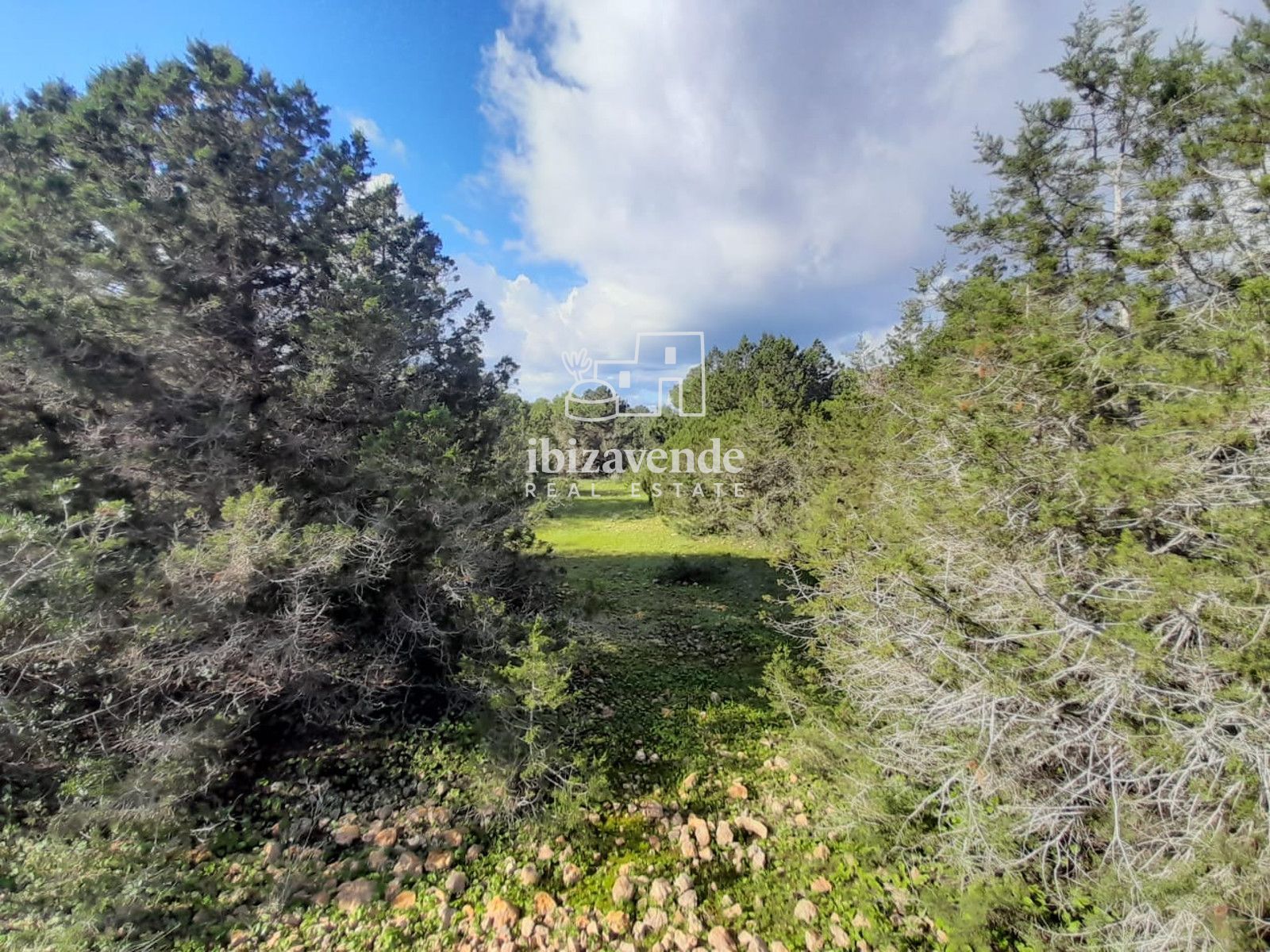 Mobilia Immobilier Image