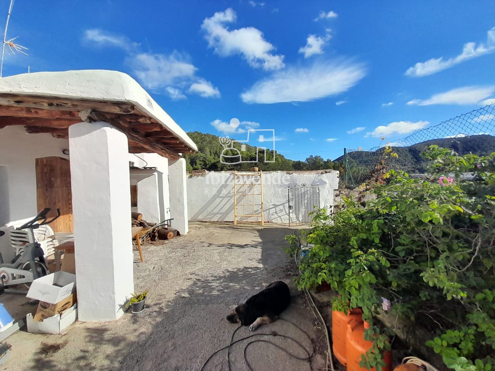 Mobilia Immobilien Bild