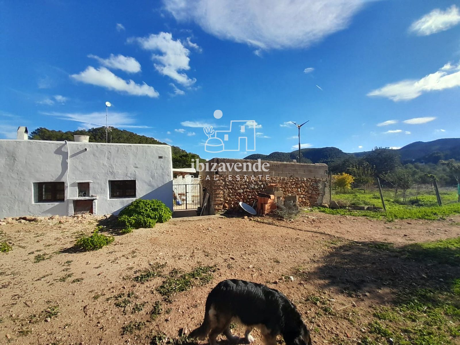 Mobilia Immobilien Bild