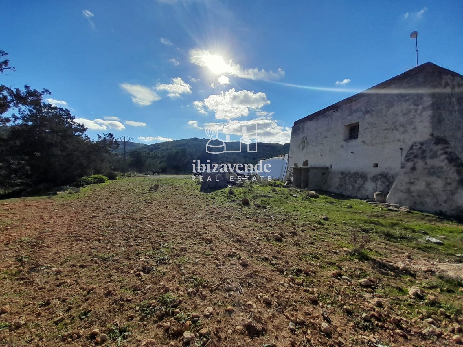 Mobilia Immobilien Bild