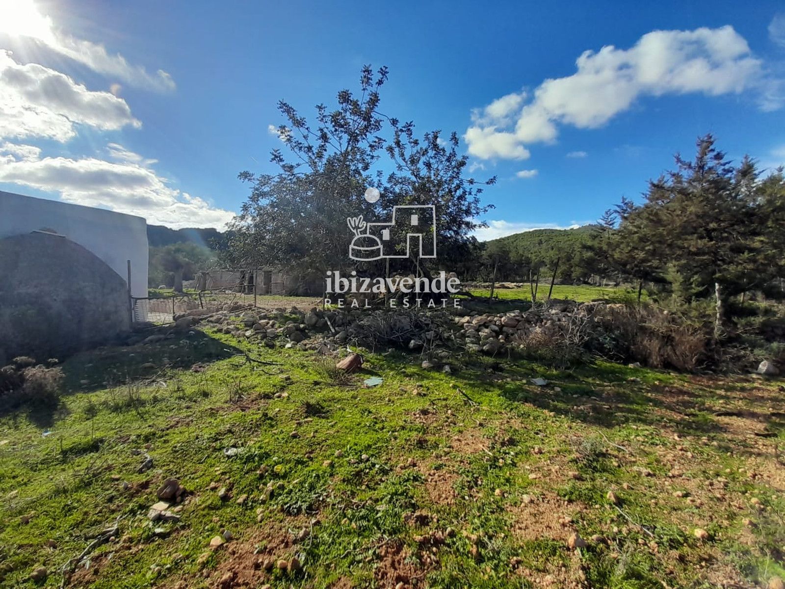 Mobilia Immobilien Bild