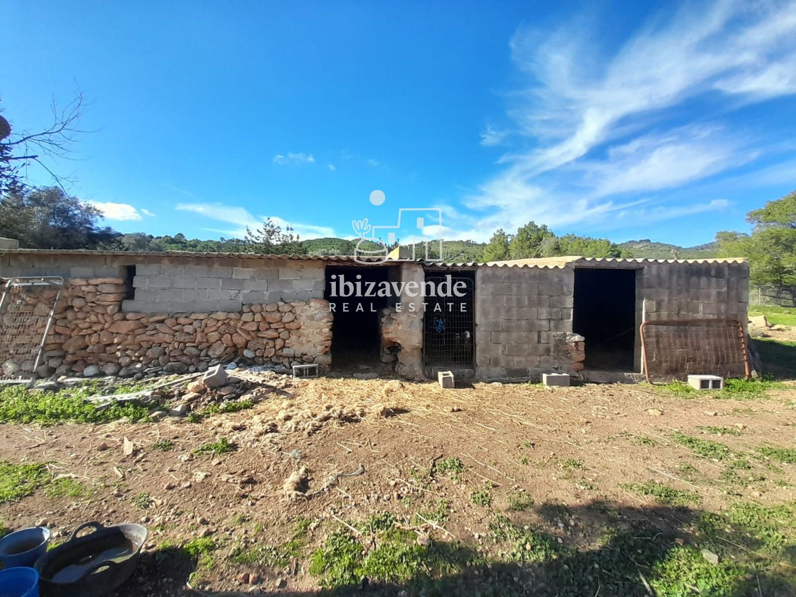 Mobilia Immobilien Bild