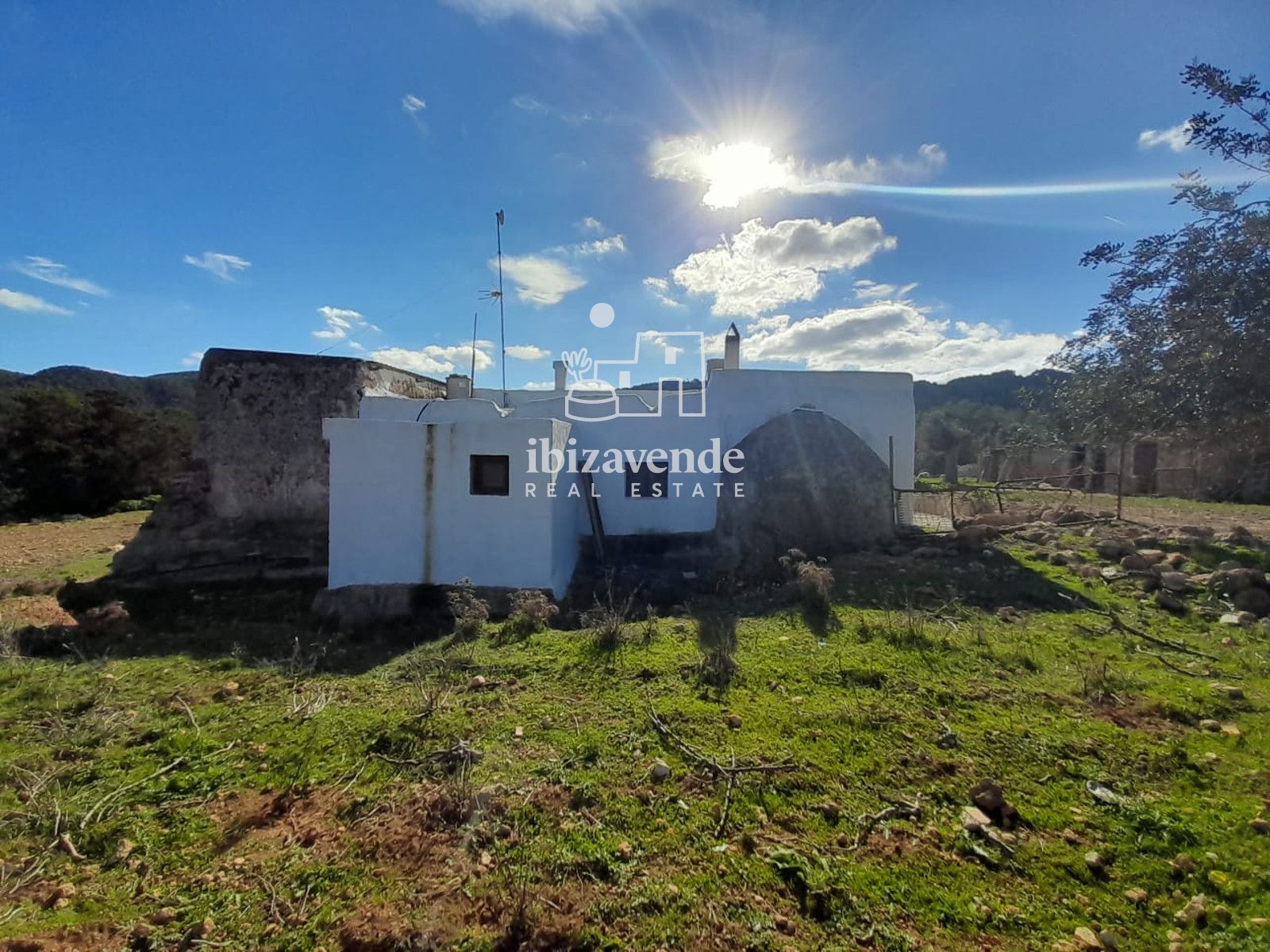 Mobilia Immobilien Bild