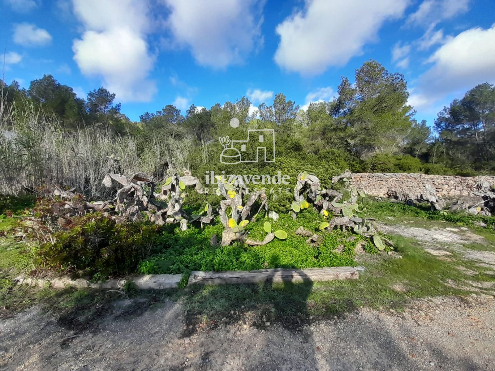 Mobilia Immobilier Image