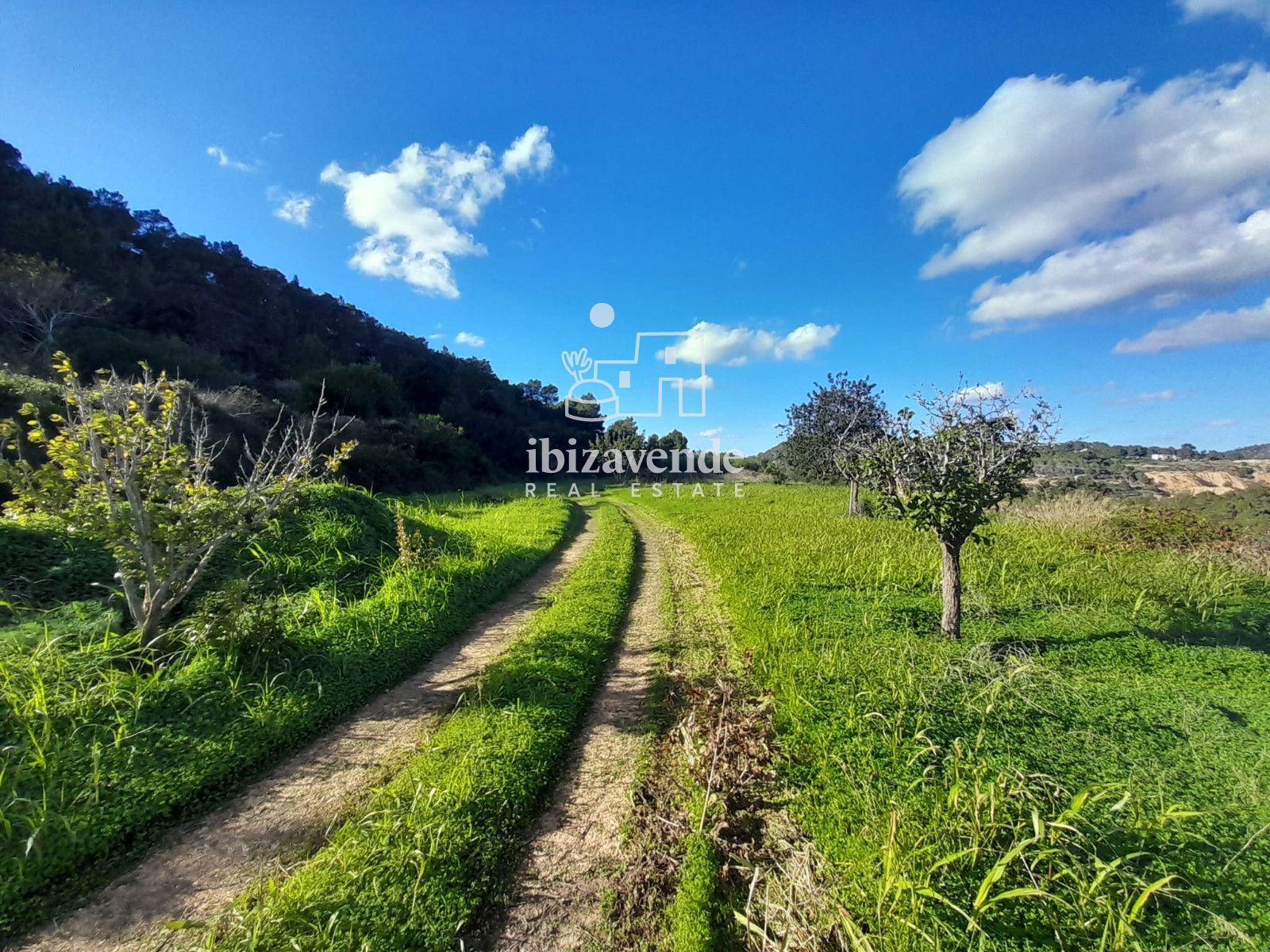 Mobilia Immobiliare Immagine