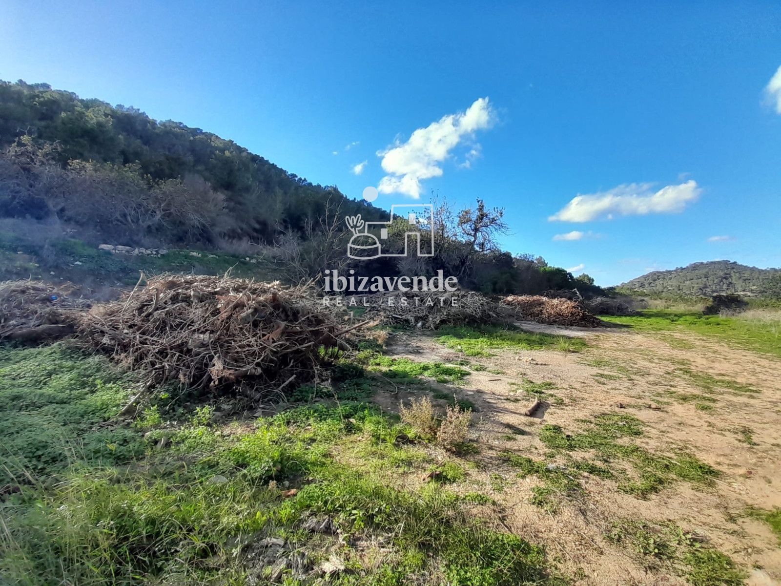 Mobilia Immobiliare Immagine