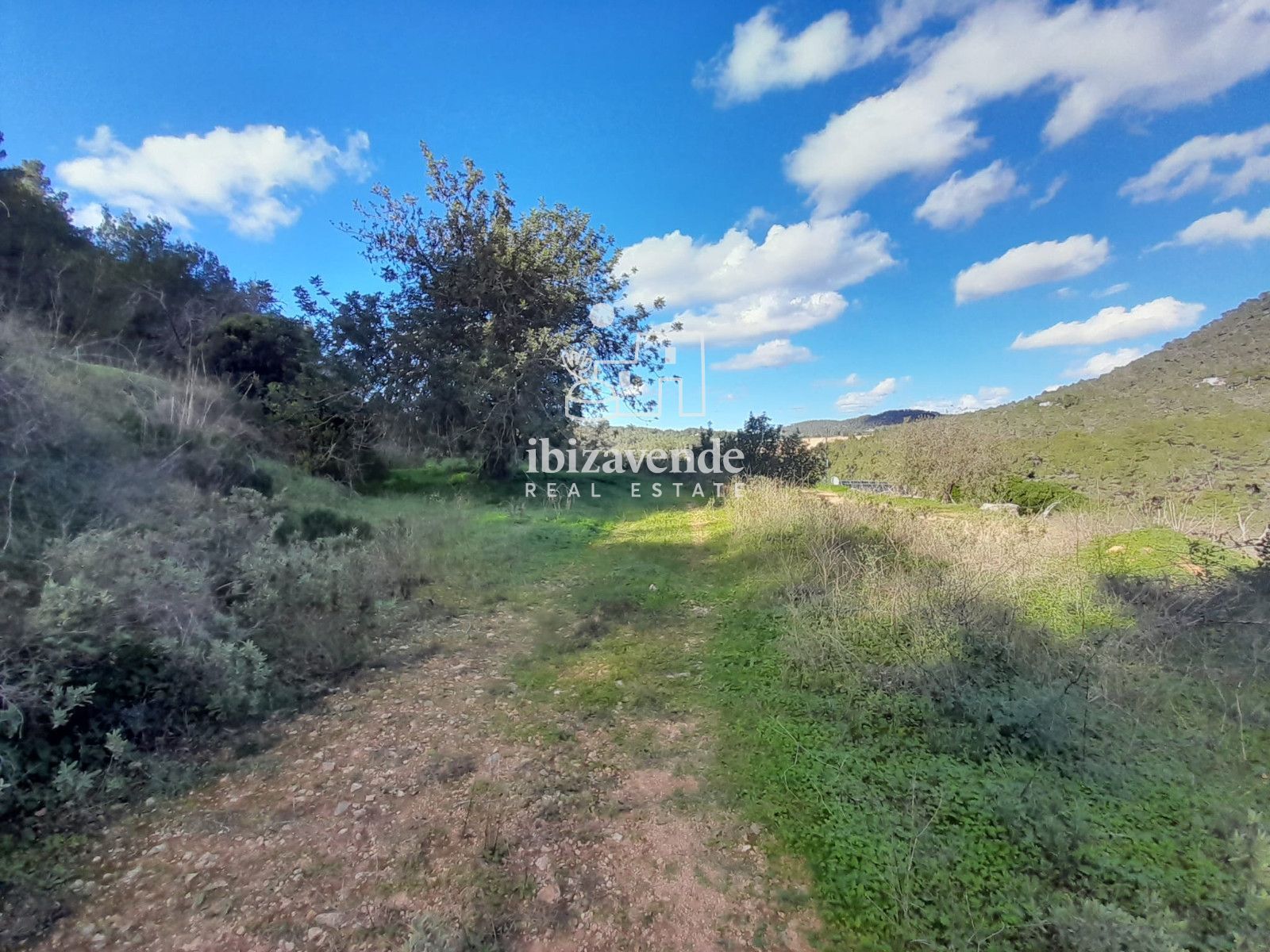 Mobilia Immobiliare Immagine