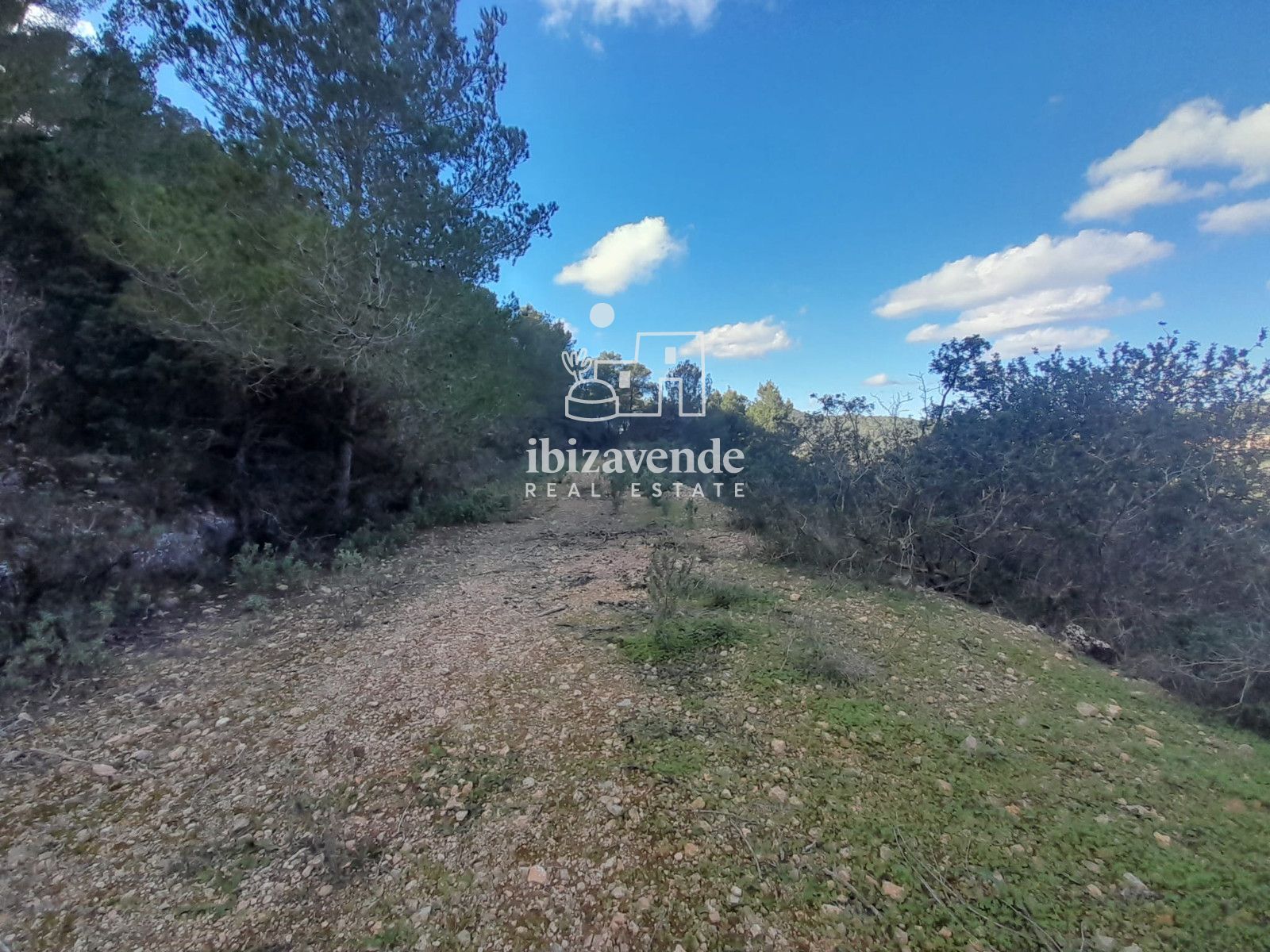 Mobilia Immobiliare Immagine