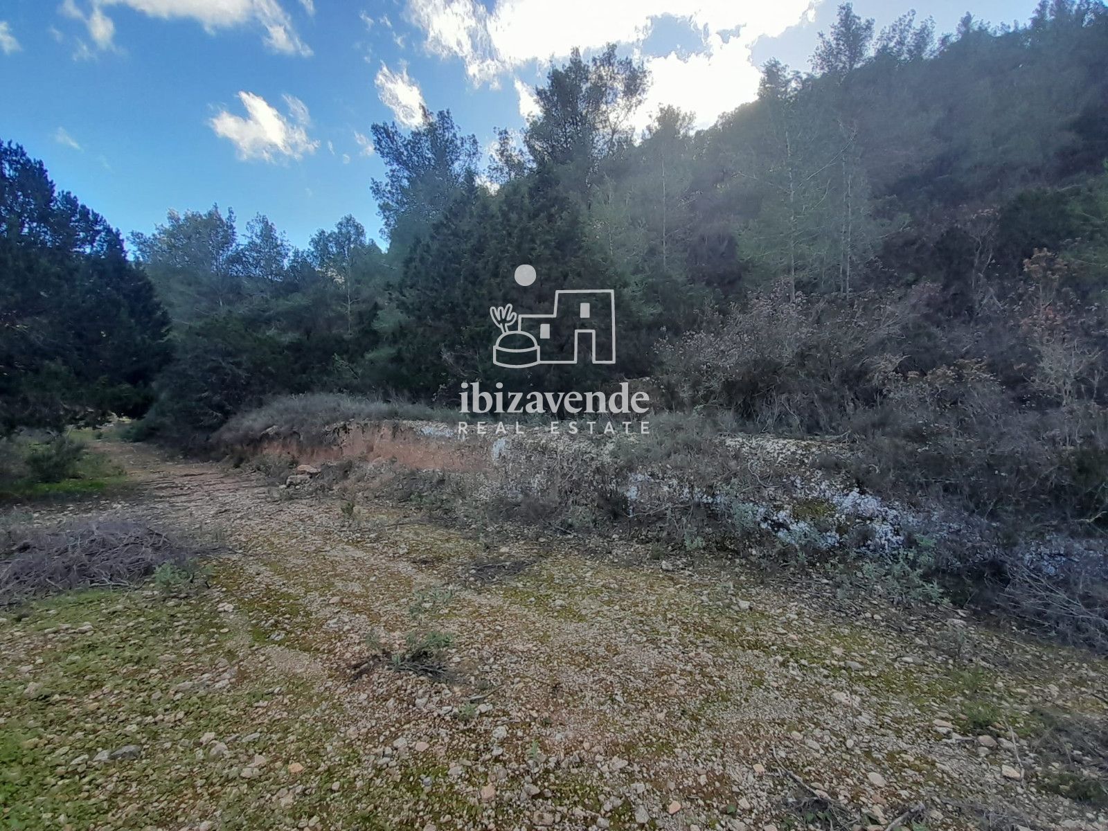 Mobilia Immobiliare Immagine