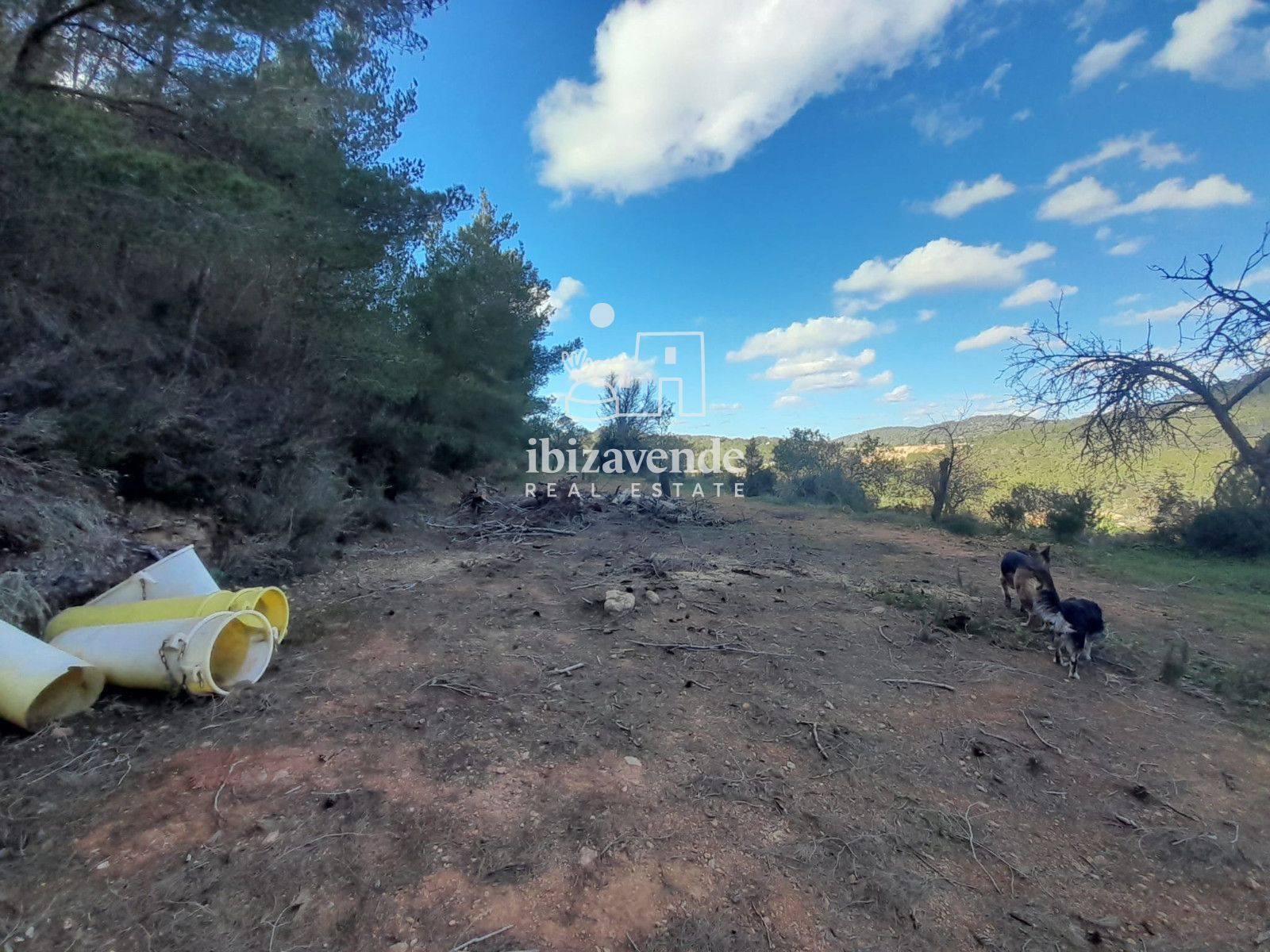 Mobilia Immobiliare Immagine