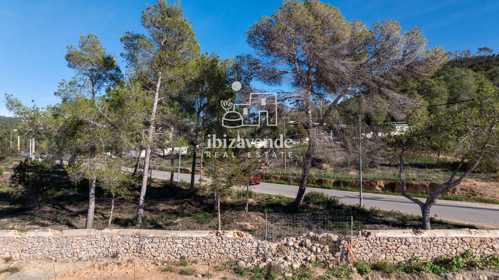 Mobilia Immobilien Bild