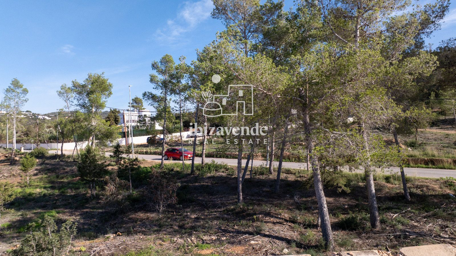 Mobilia Immobilien Bild