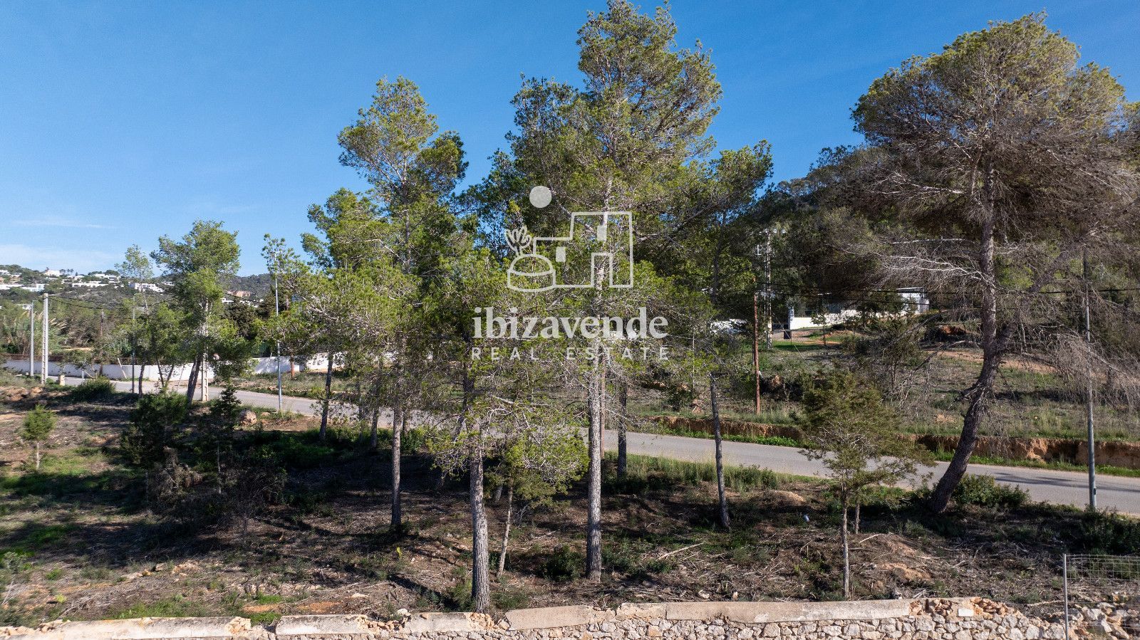 Mobilia Immobilien Bild