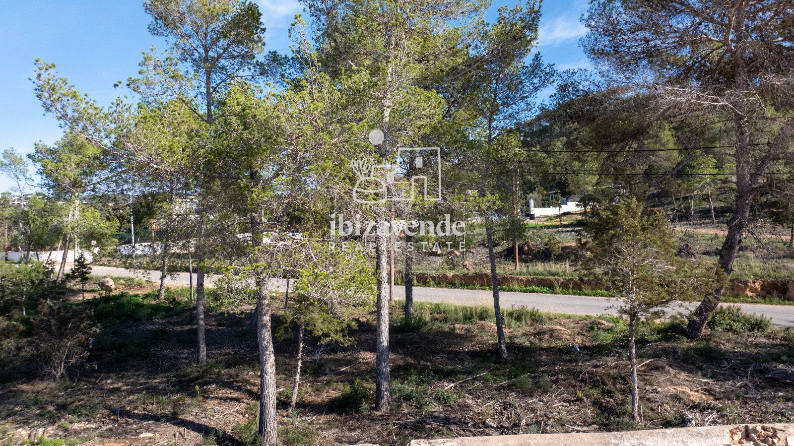 Mobilia Immobilien Bild