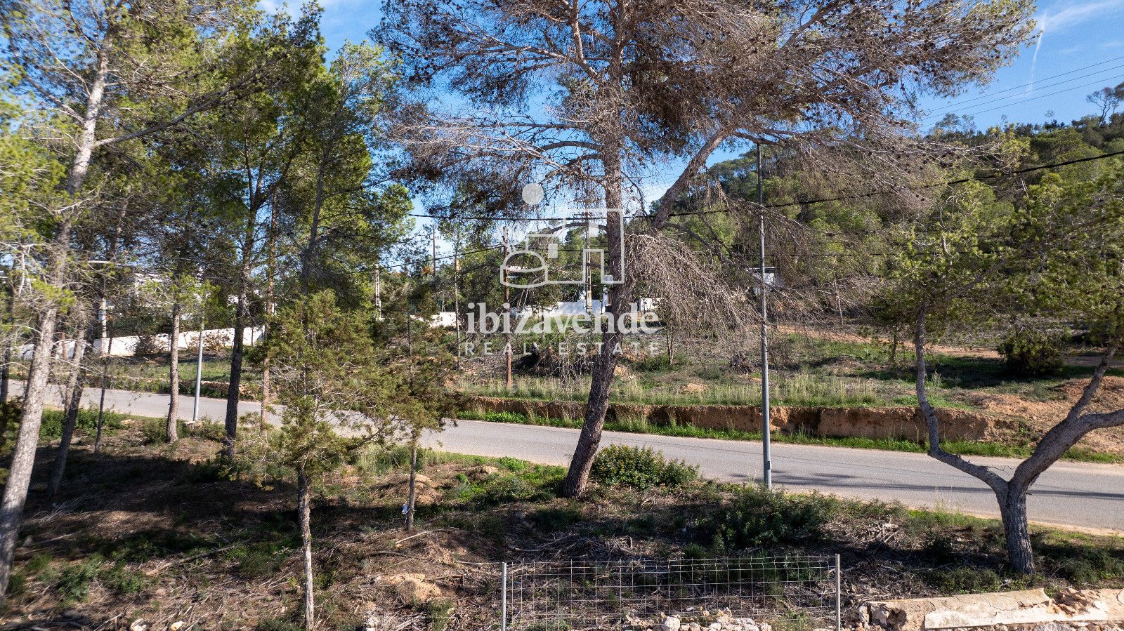 Mobilia Immobilien Bild