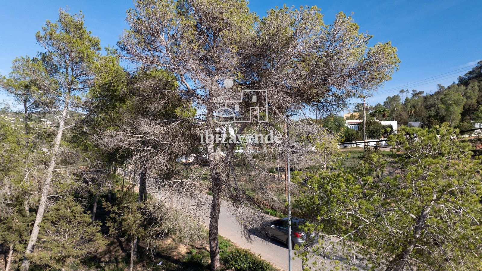 Mobilia Immobilien Bild