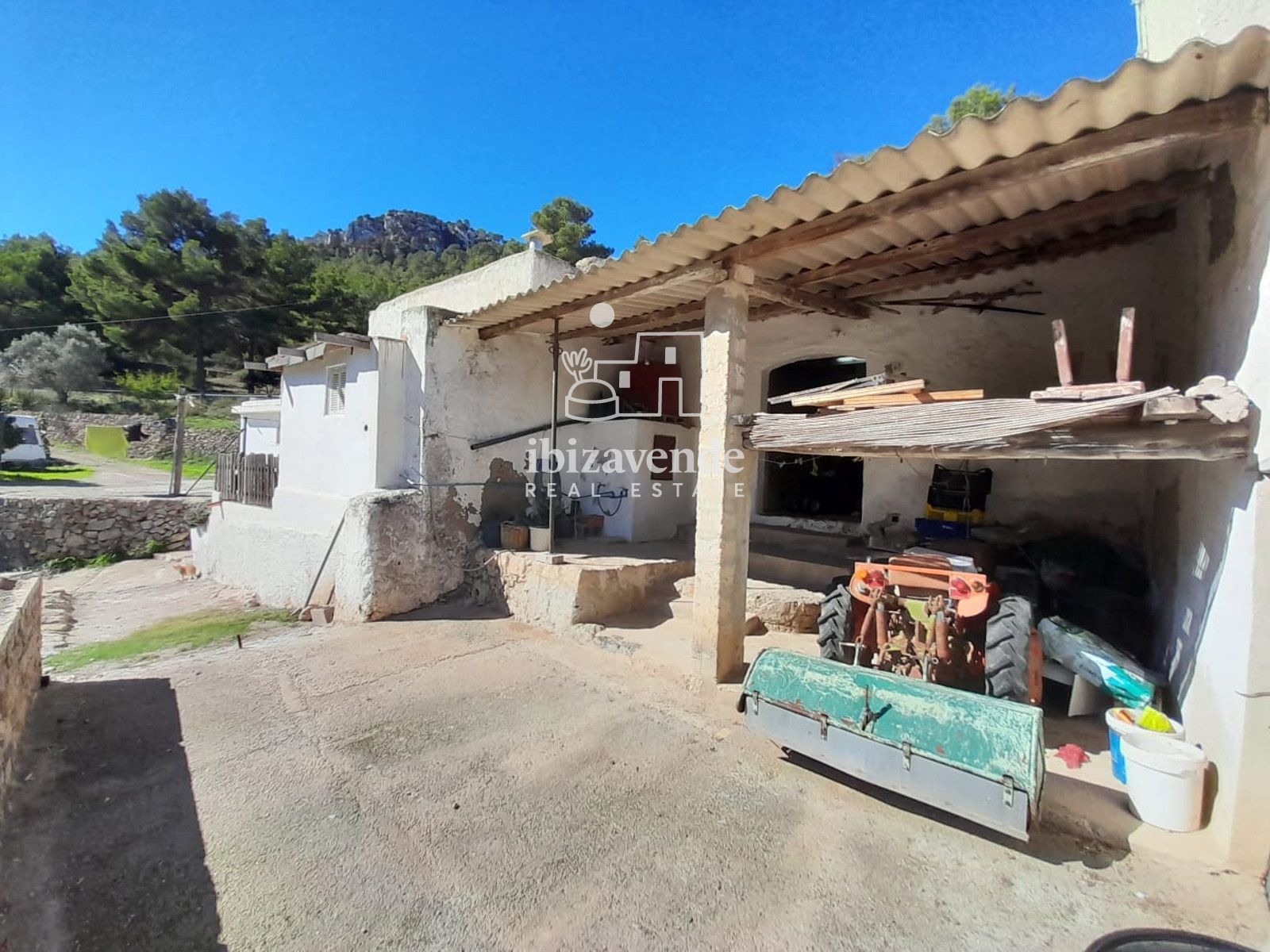 Mobilia Immobilien Bild