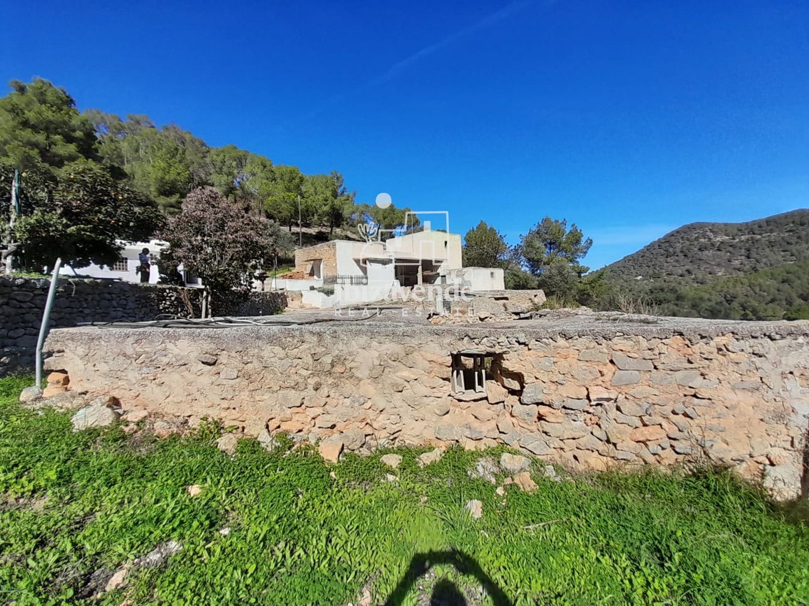 Mobilia Immobilien Bild