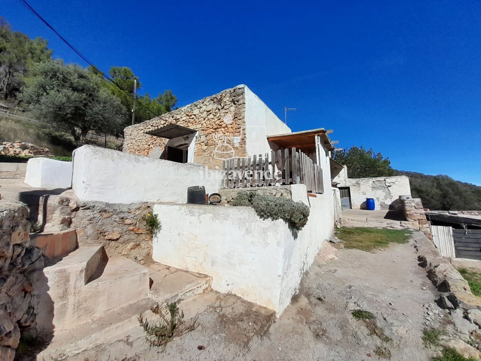 Mobilia Immobilien Bild
