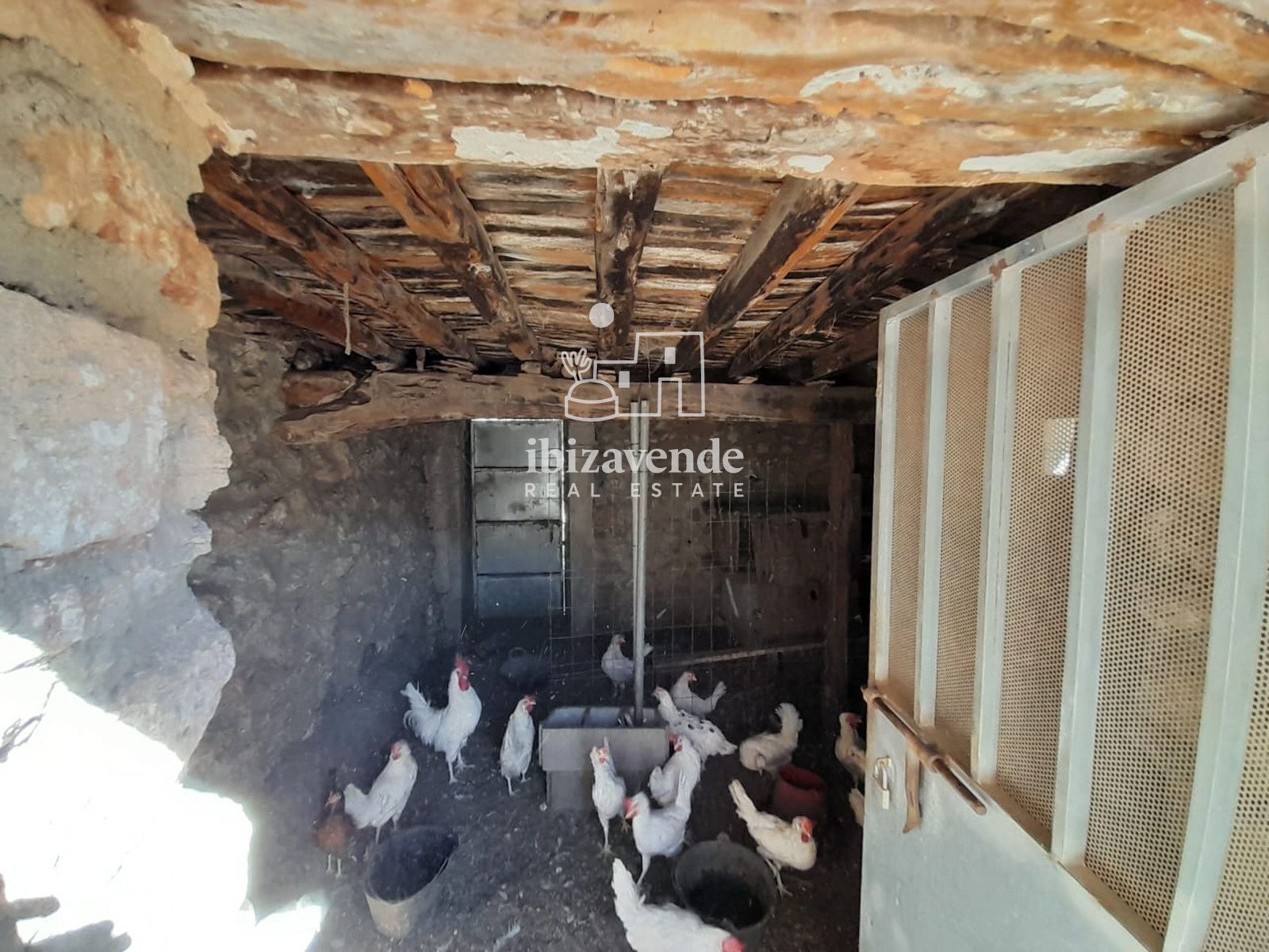 Mobilia Immobilien Bild