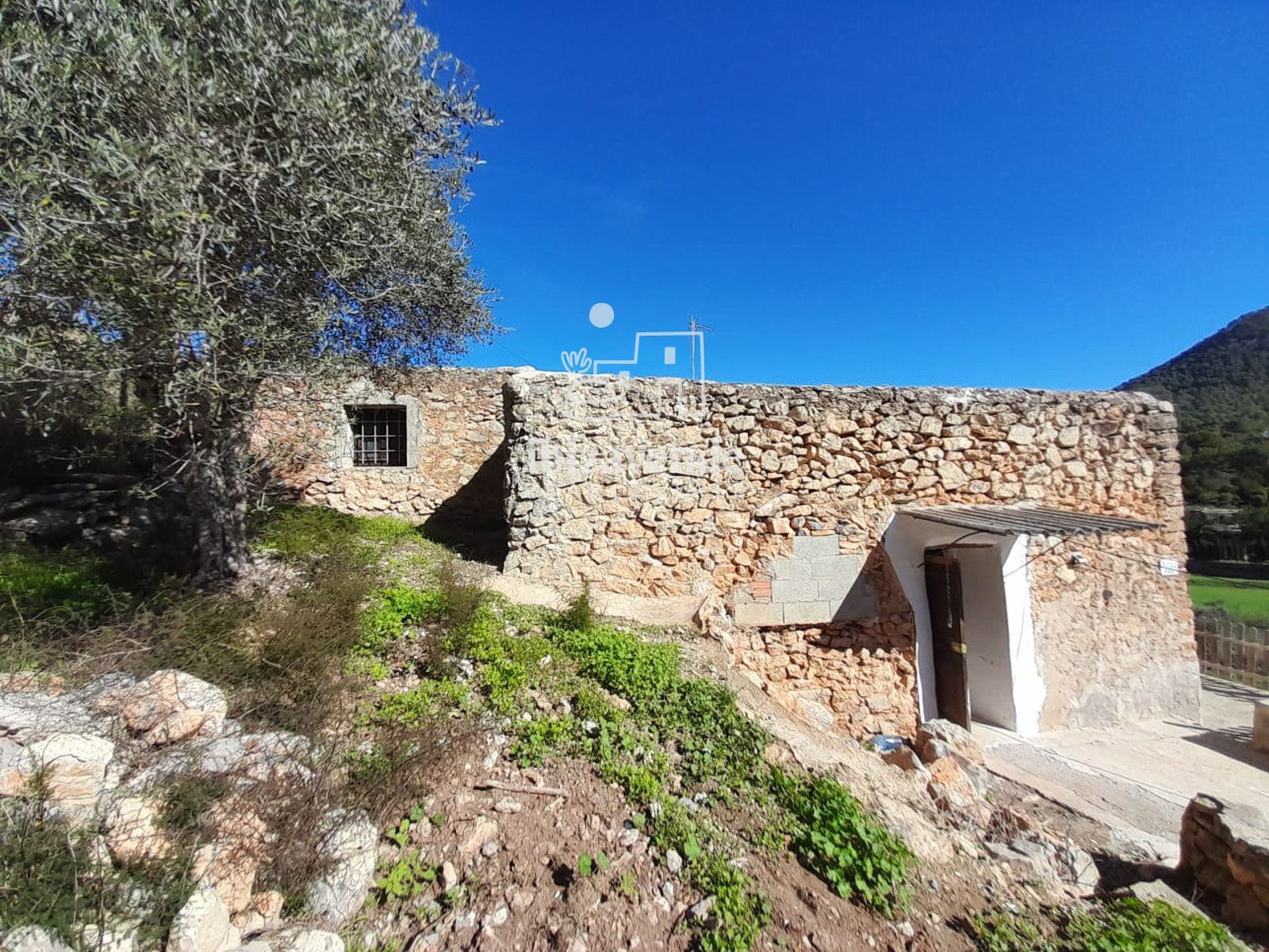 Mobilia Immobilien Bild