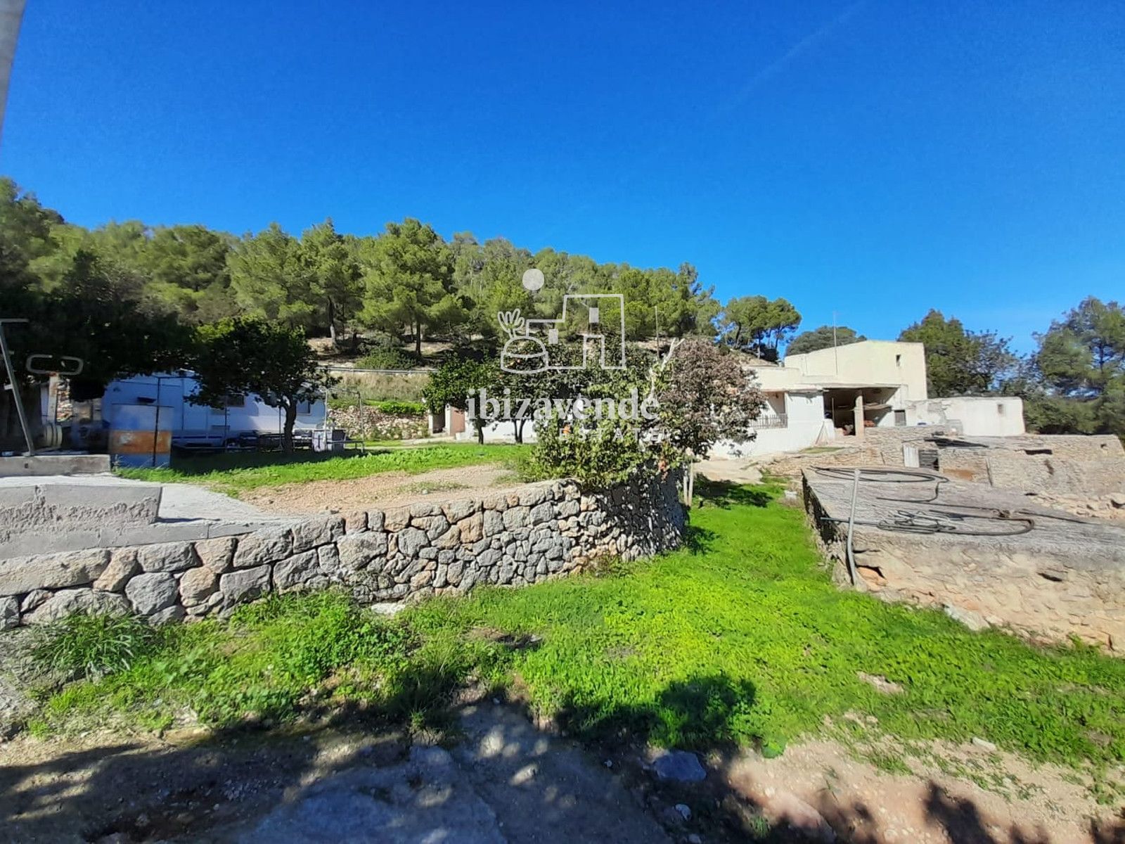 Mobilia Immobilien Bild