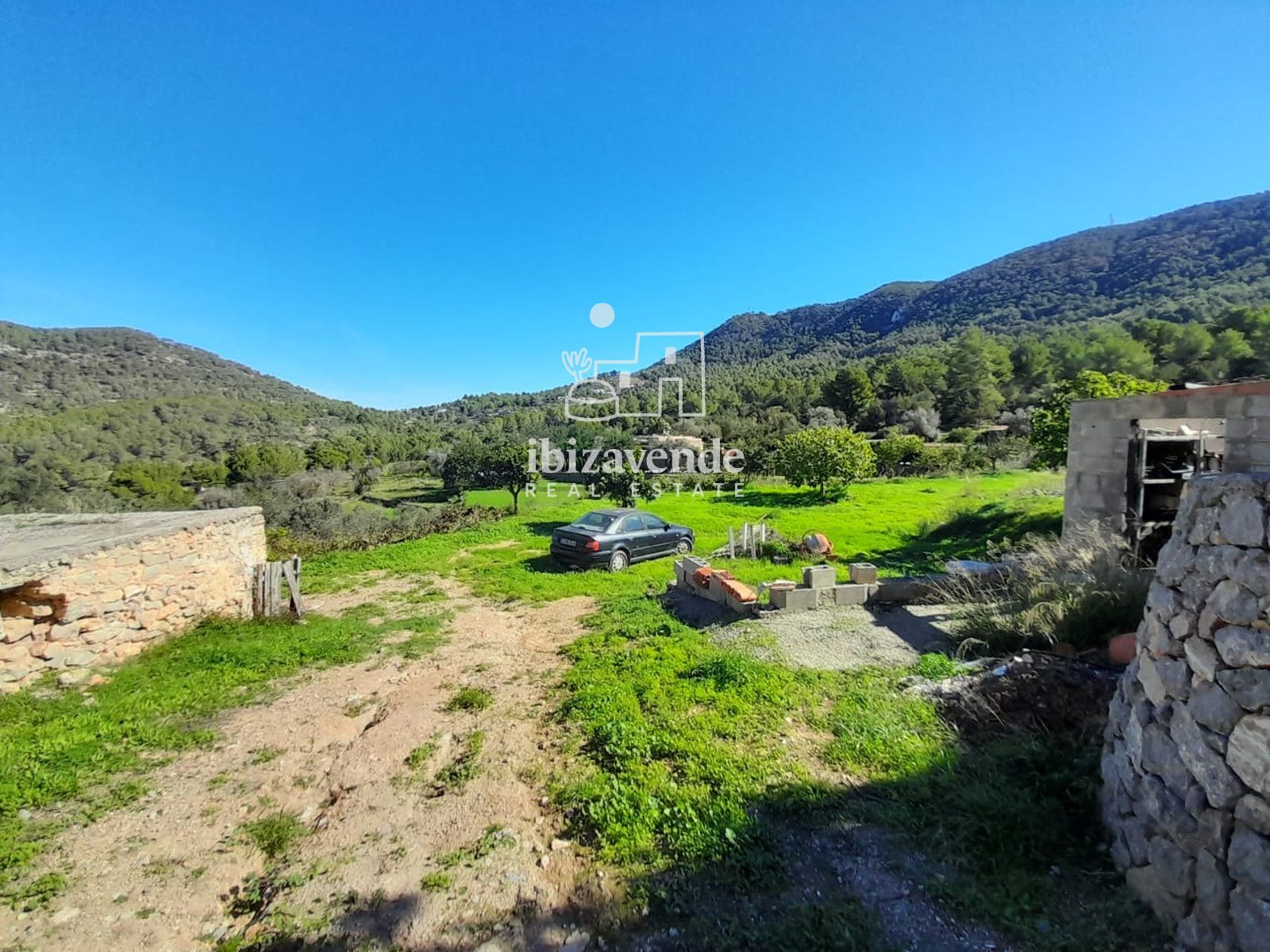 Mobilia Immobilien Bild