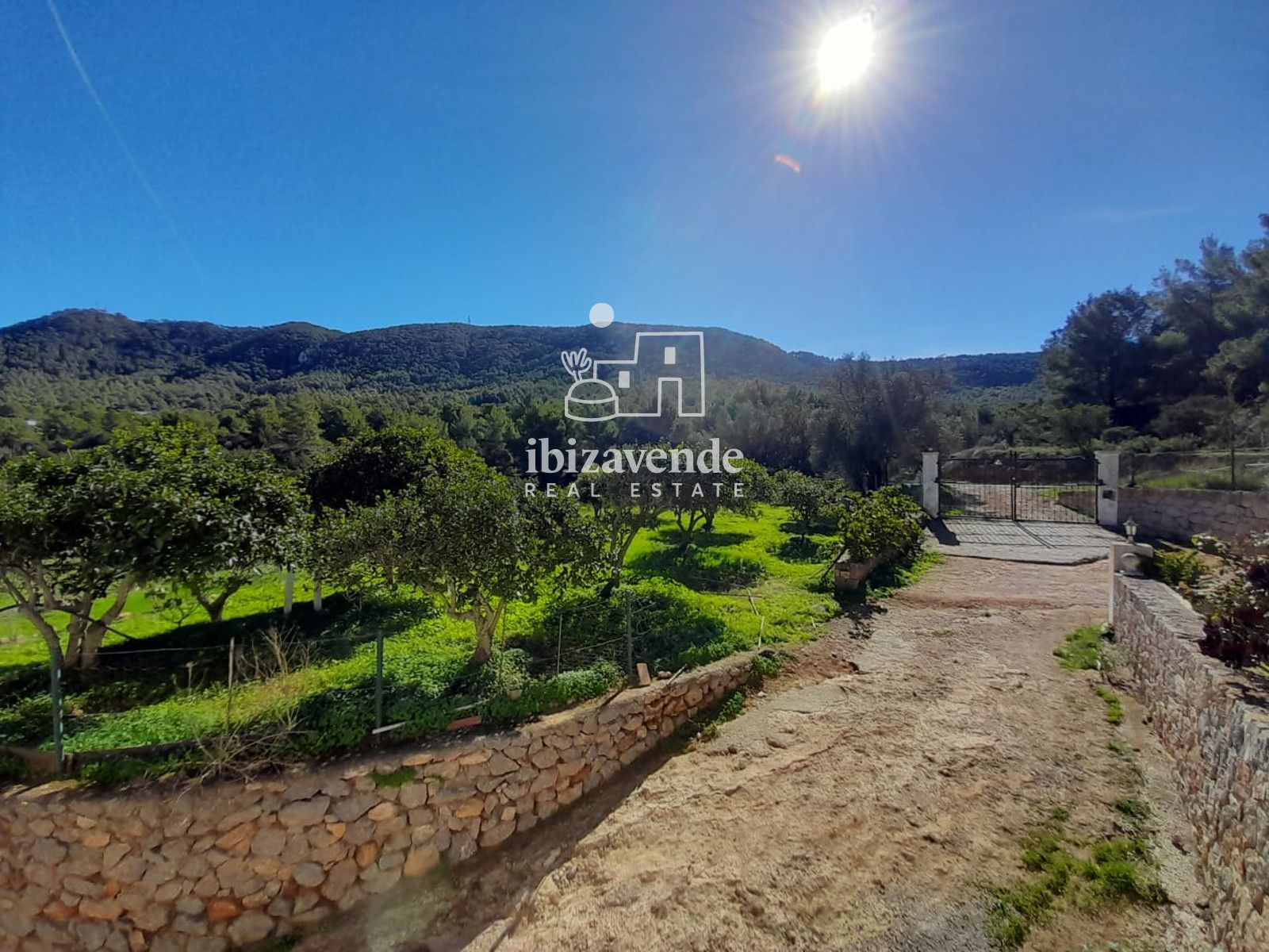 Mobilia Immobilien Bild