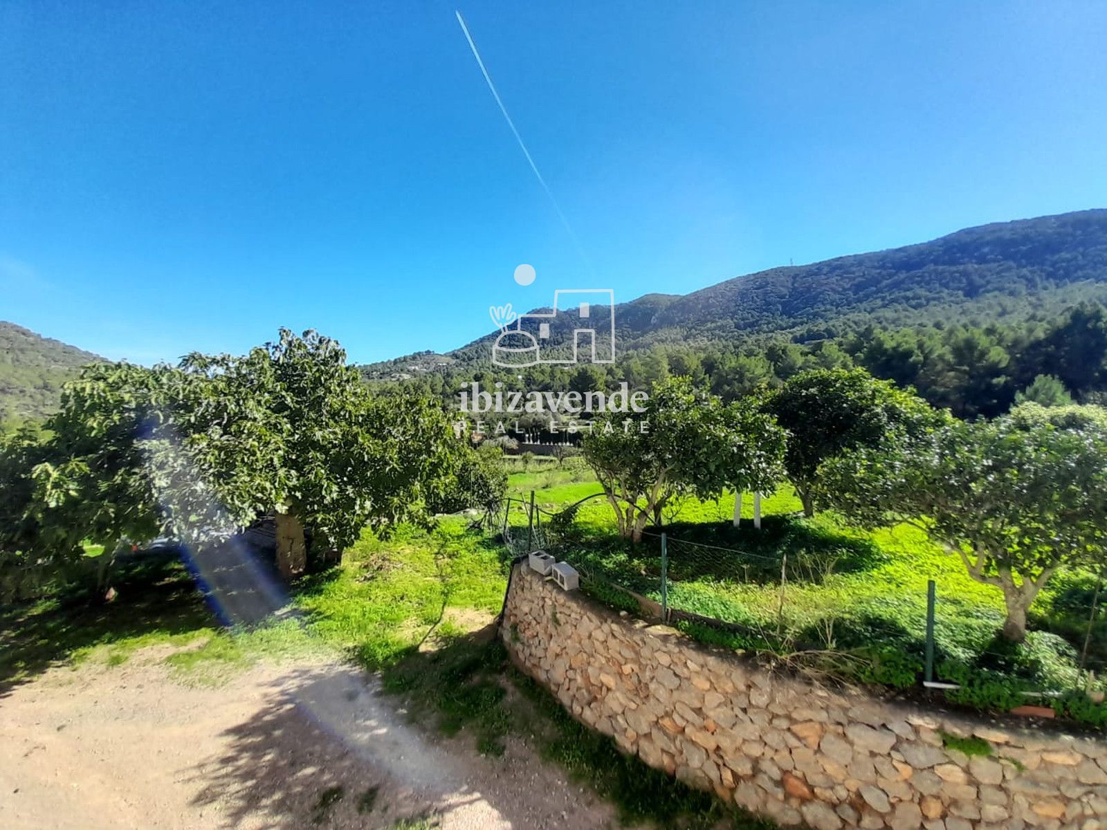 Mobilia Immobilien Bild