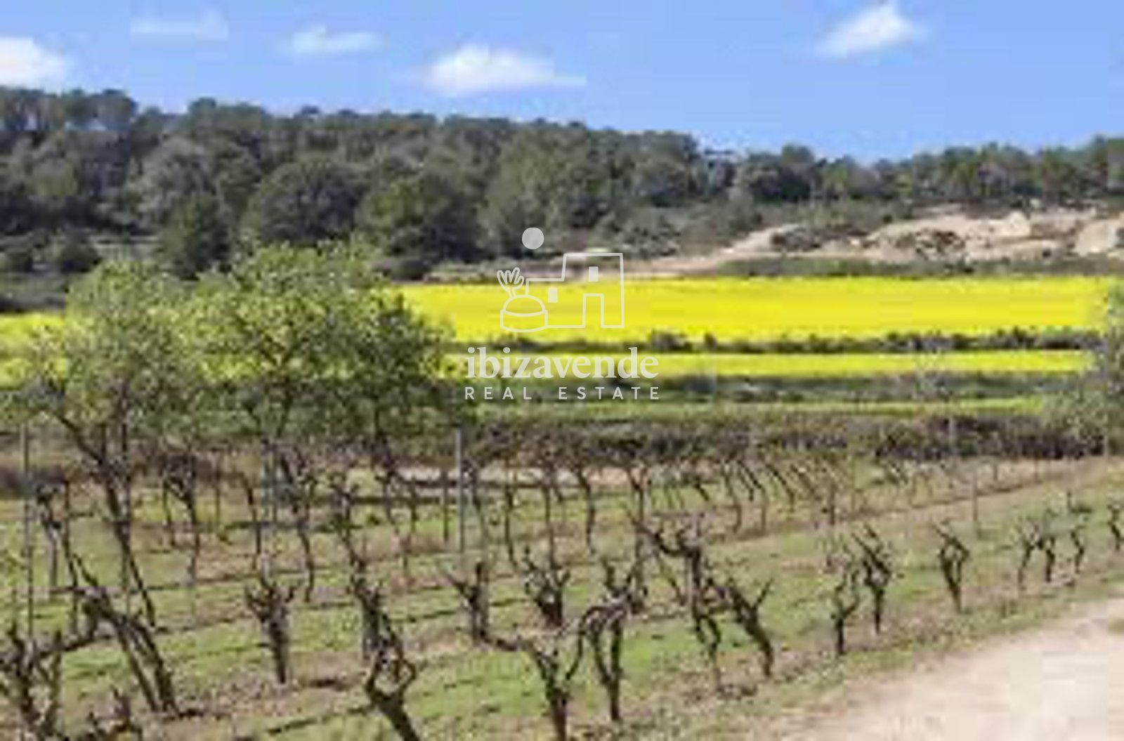 Mobilia Property Image