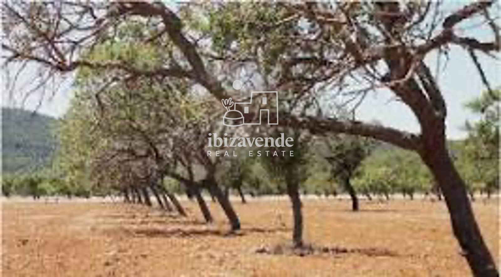 Mobilia Property Image