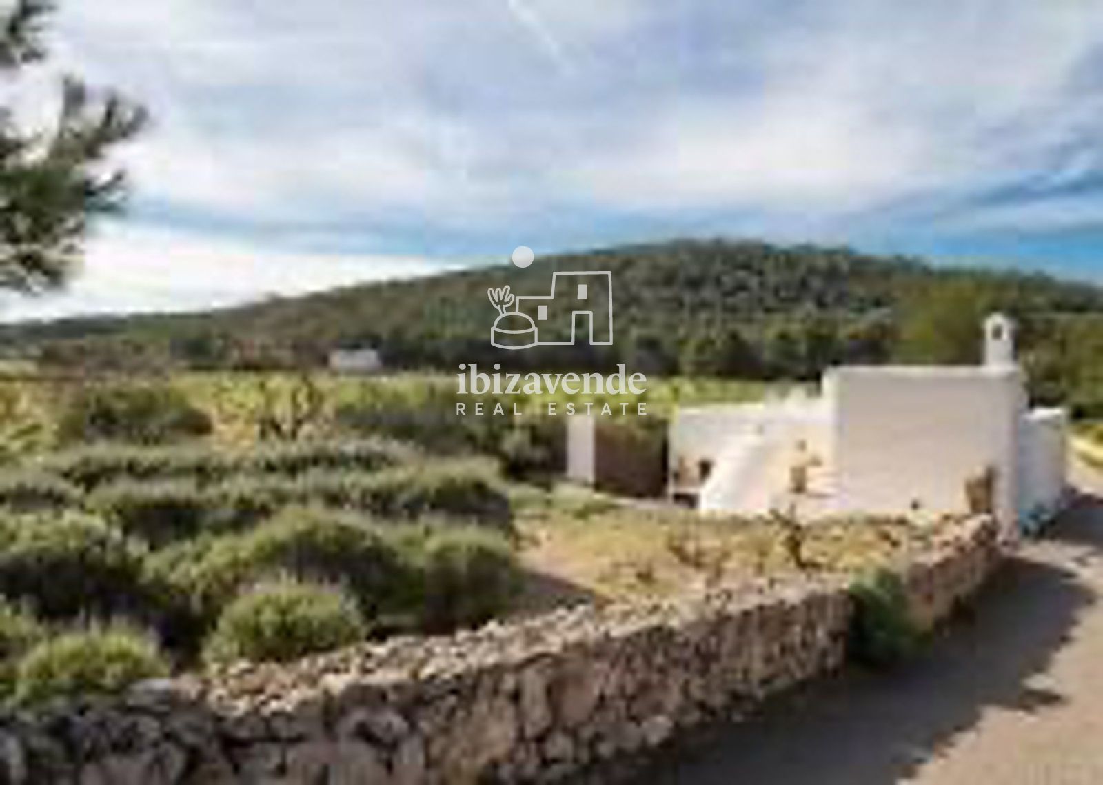 Mobilia Property Image