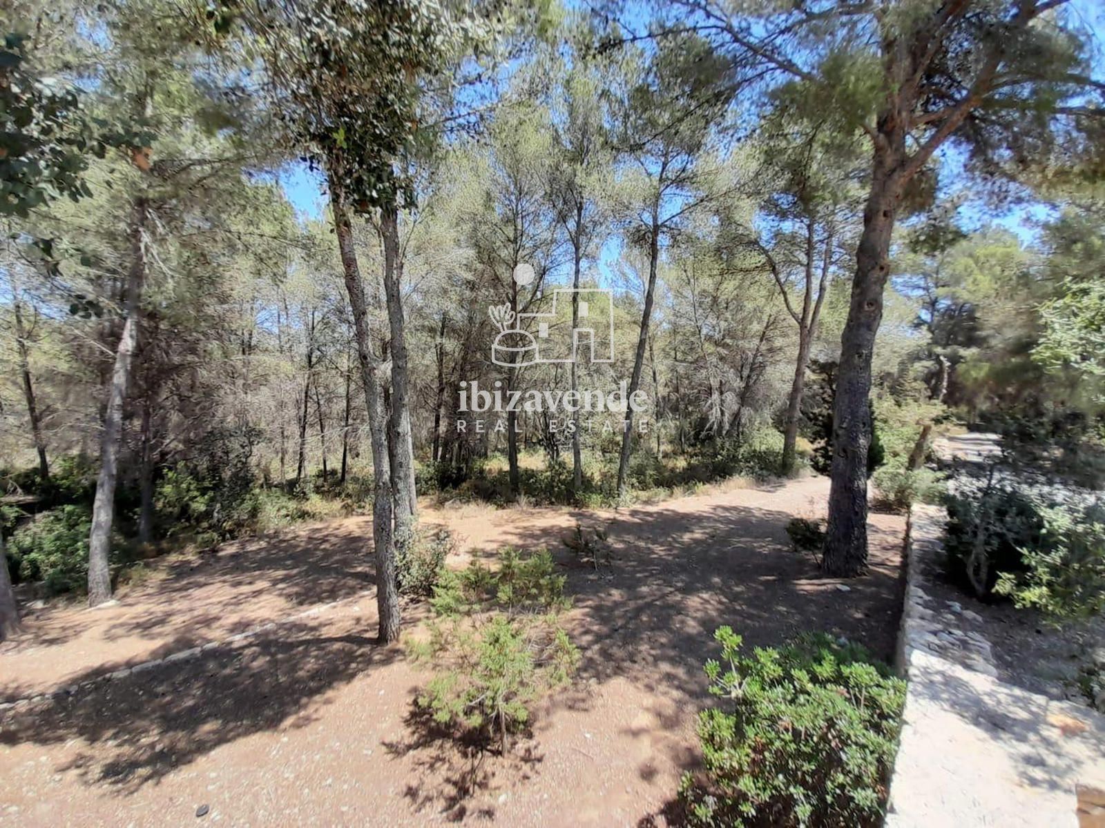 Mobilia Property Image
