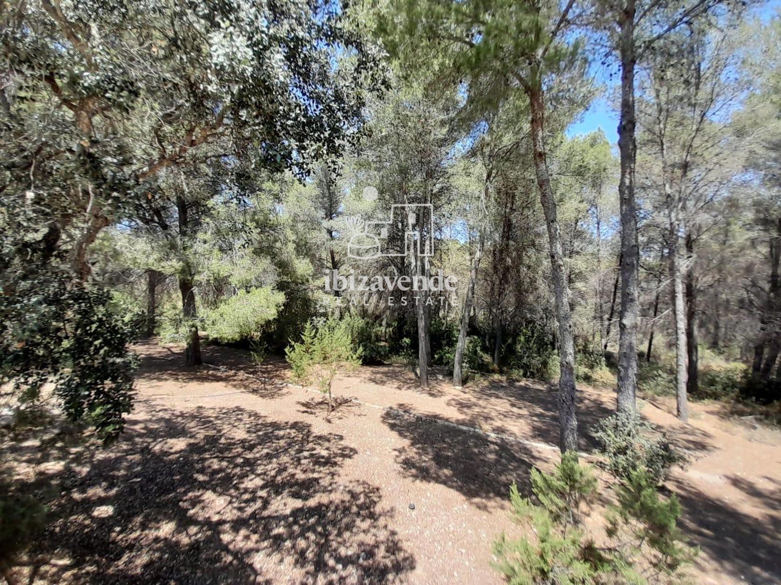 Mobilia Property Image