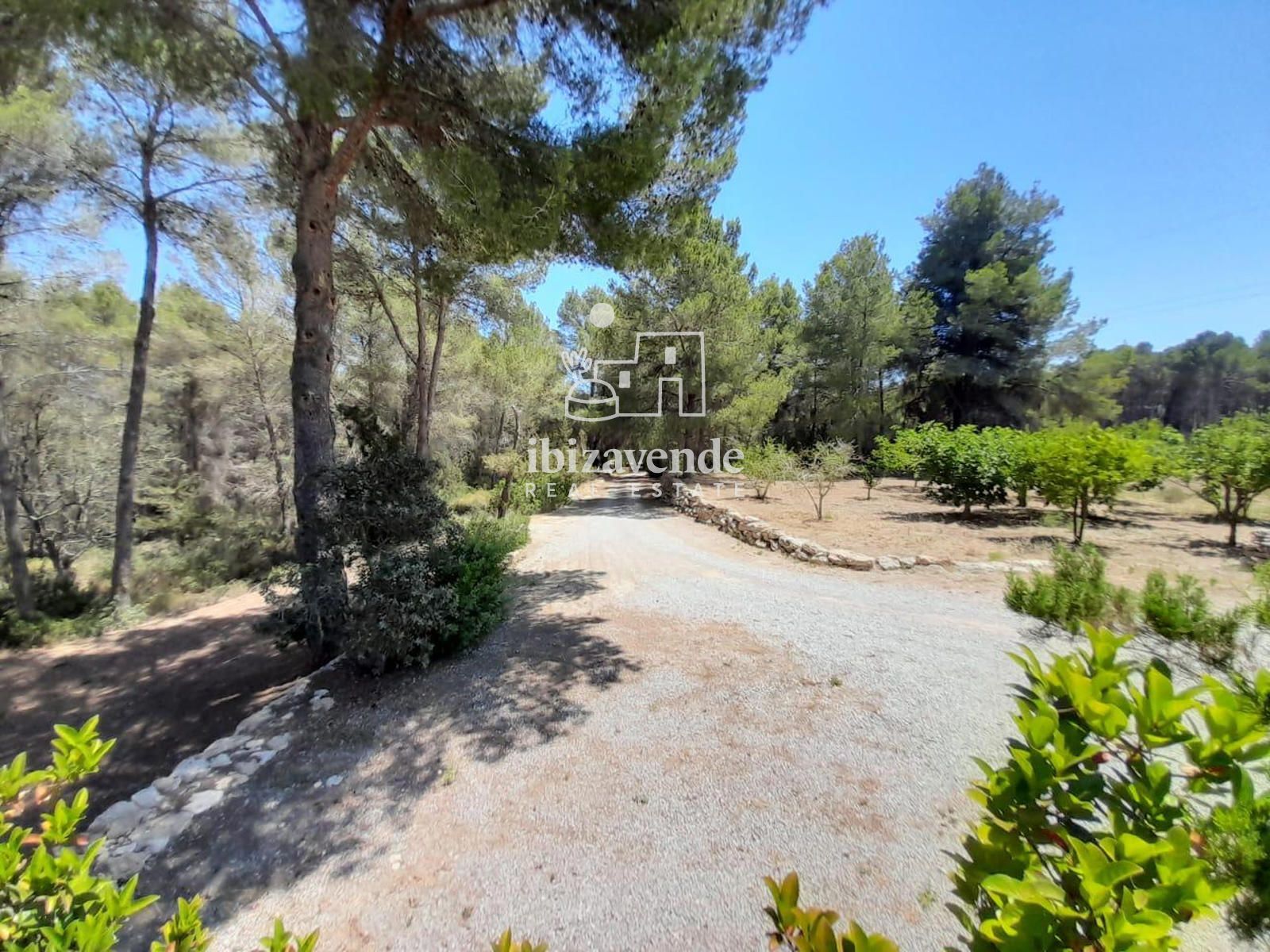 Mobilia Property Image