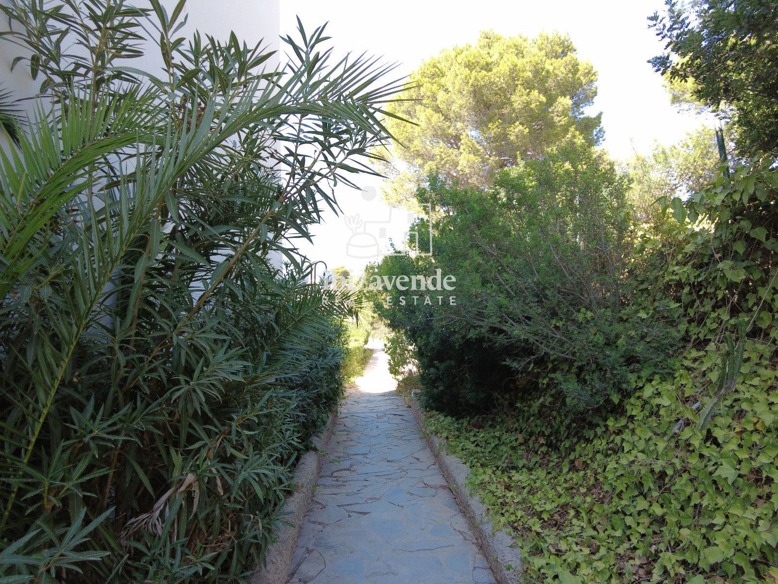 Mobilia Immobilier Image