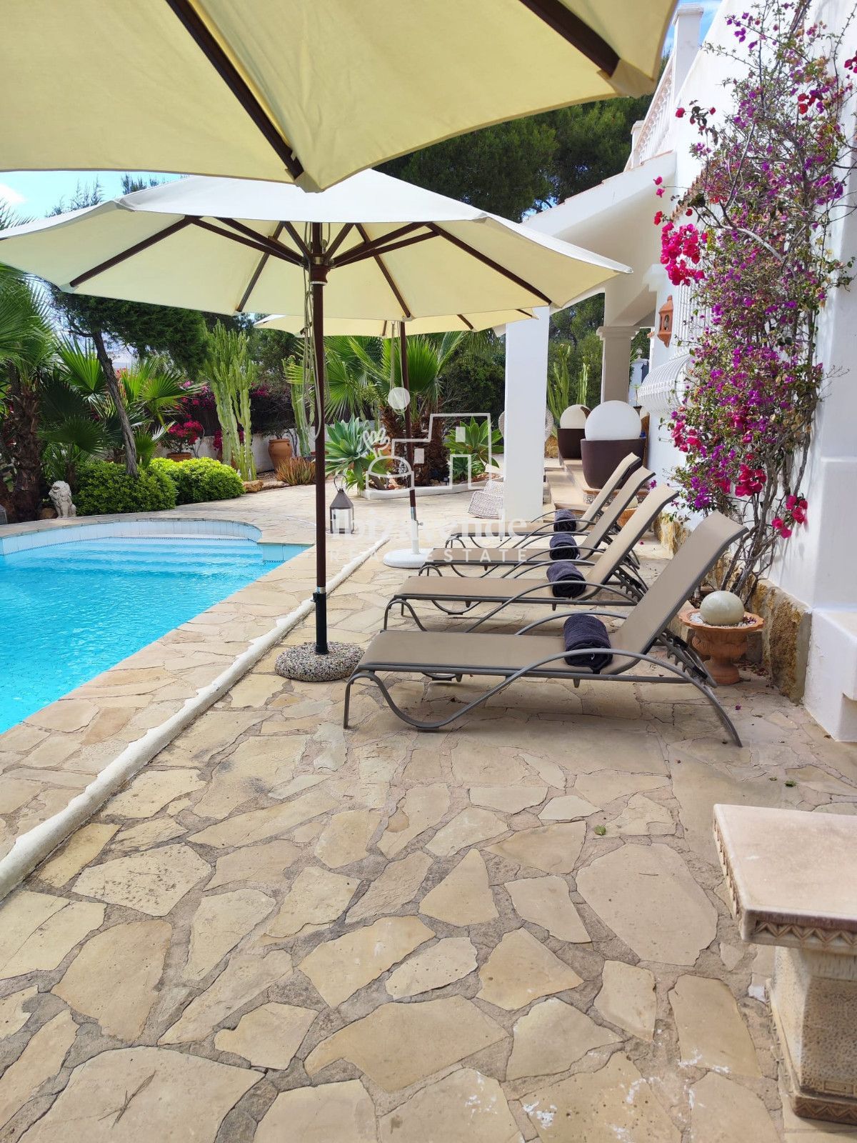 Mobilia Immobilier Image