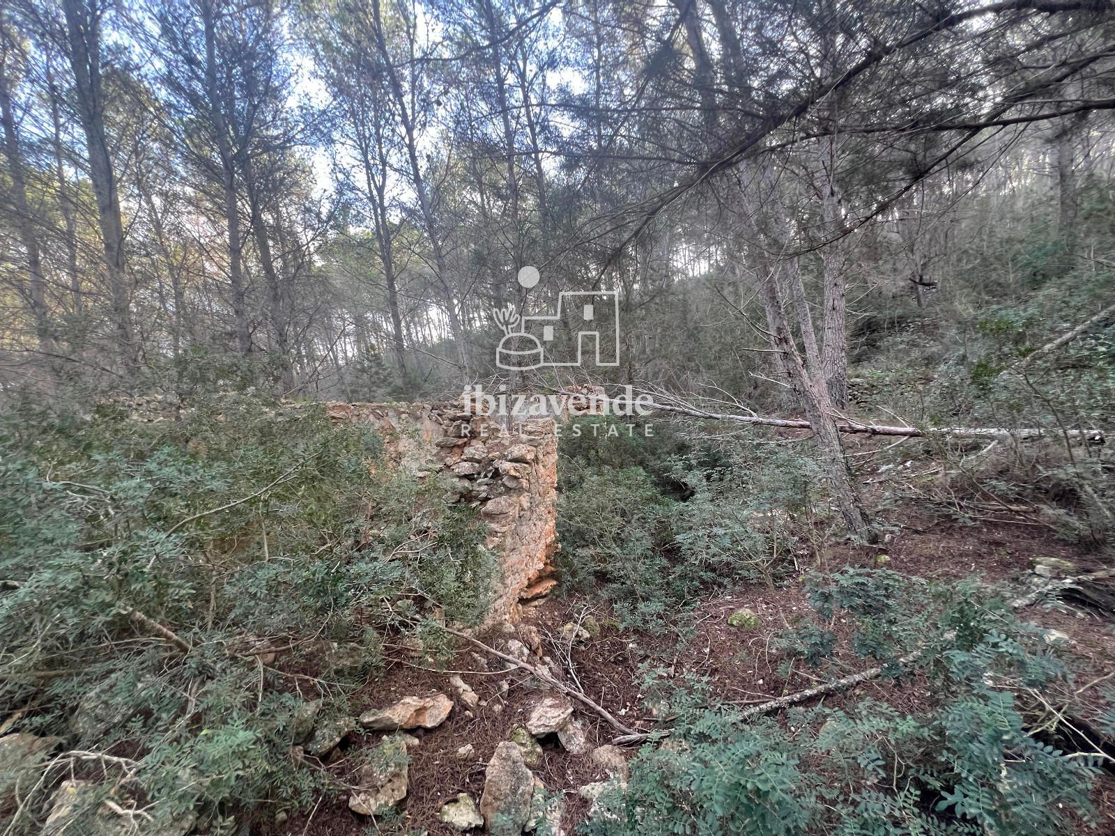 Mobilia Immobiliare Immagine