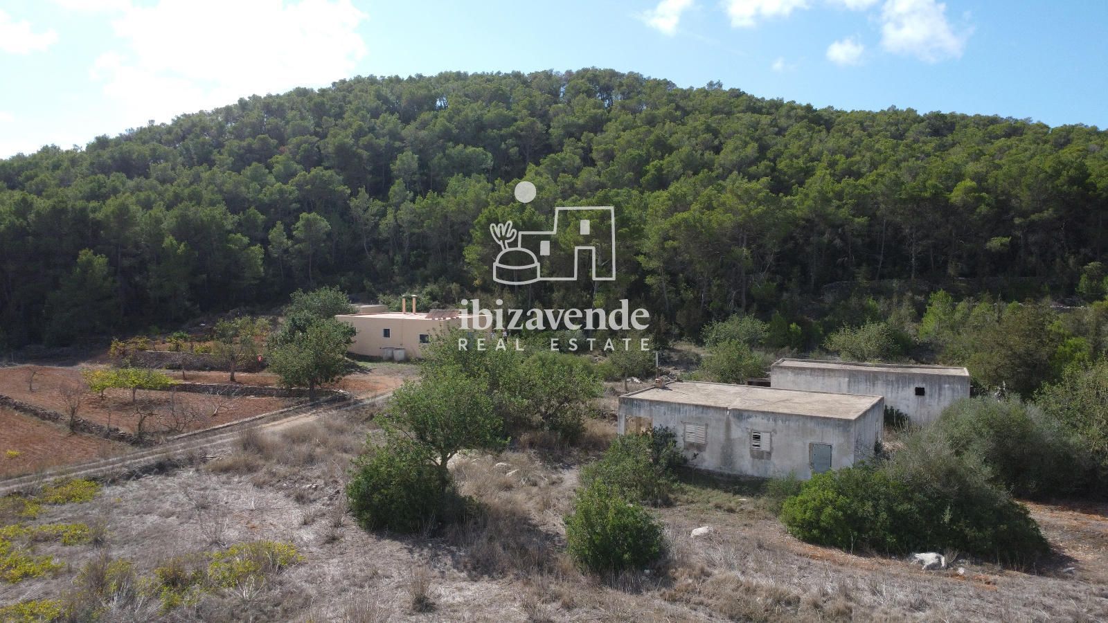 Mobilia Property Image