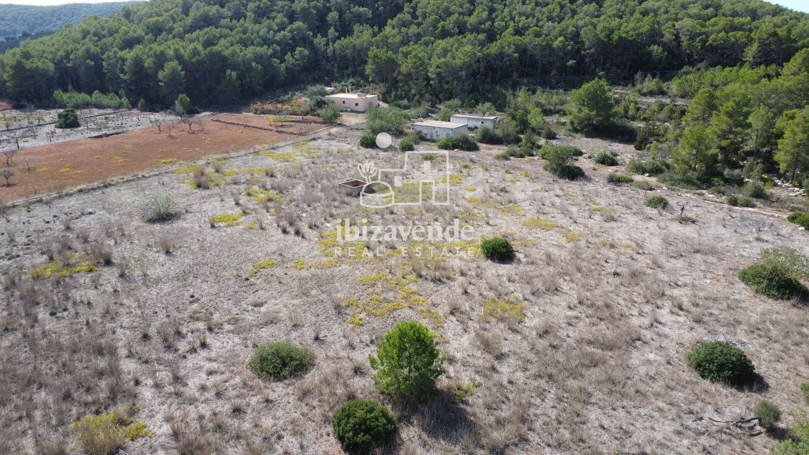 Mobilia Property Image