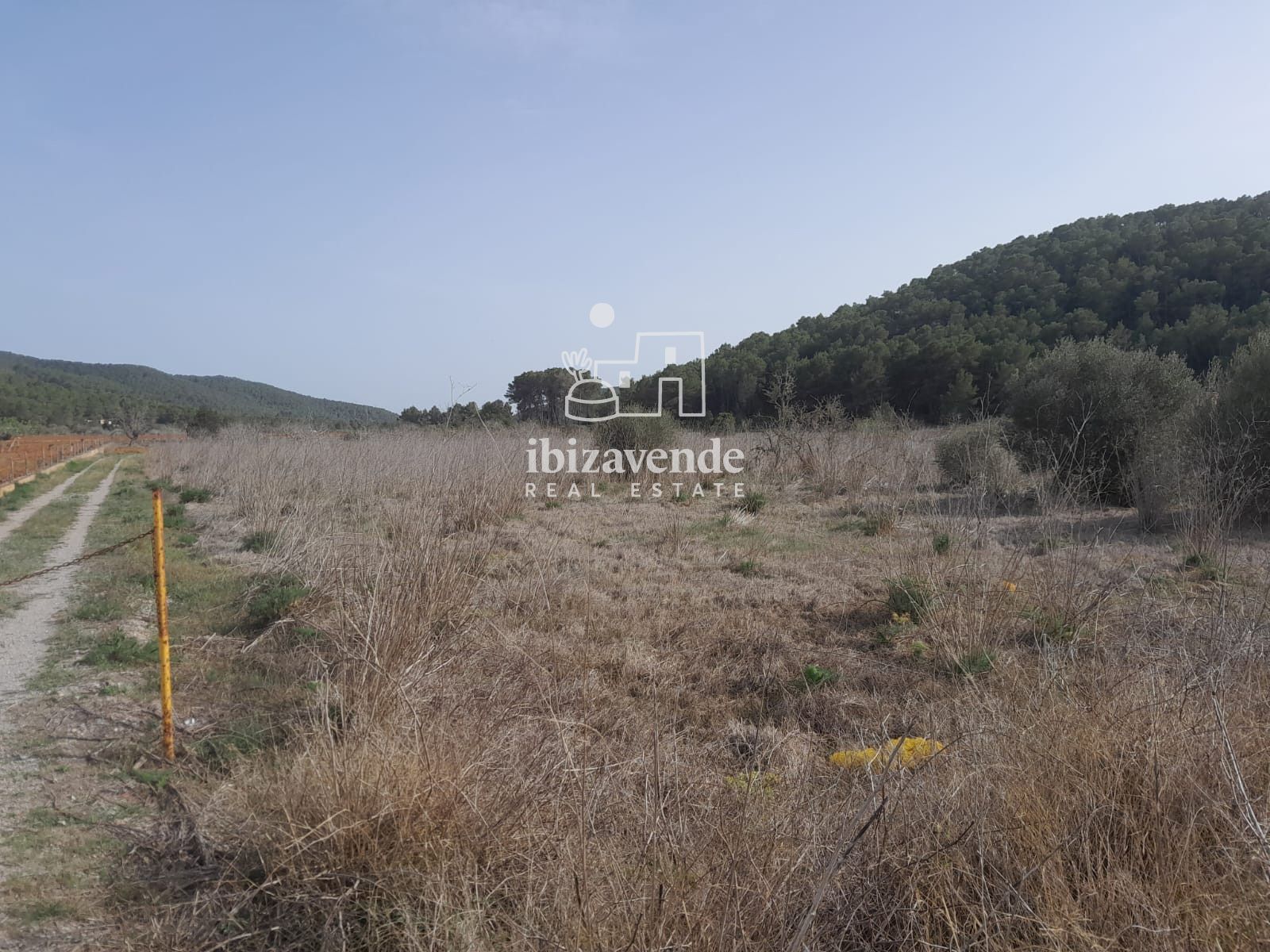 Mobilia Property Image