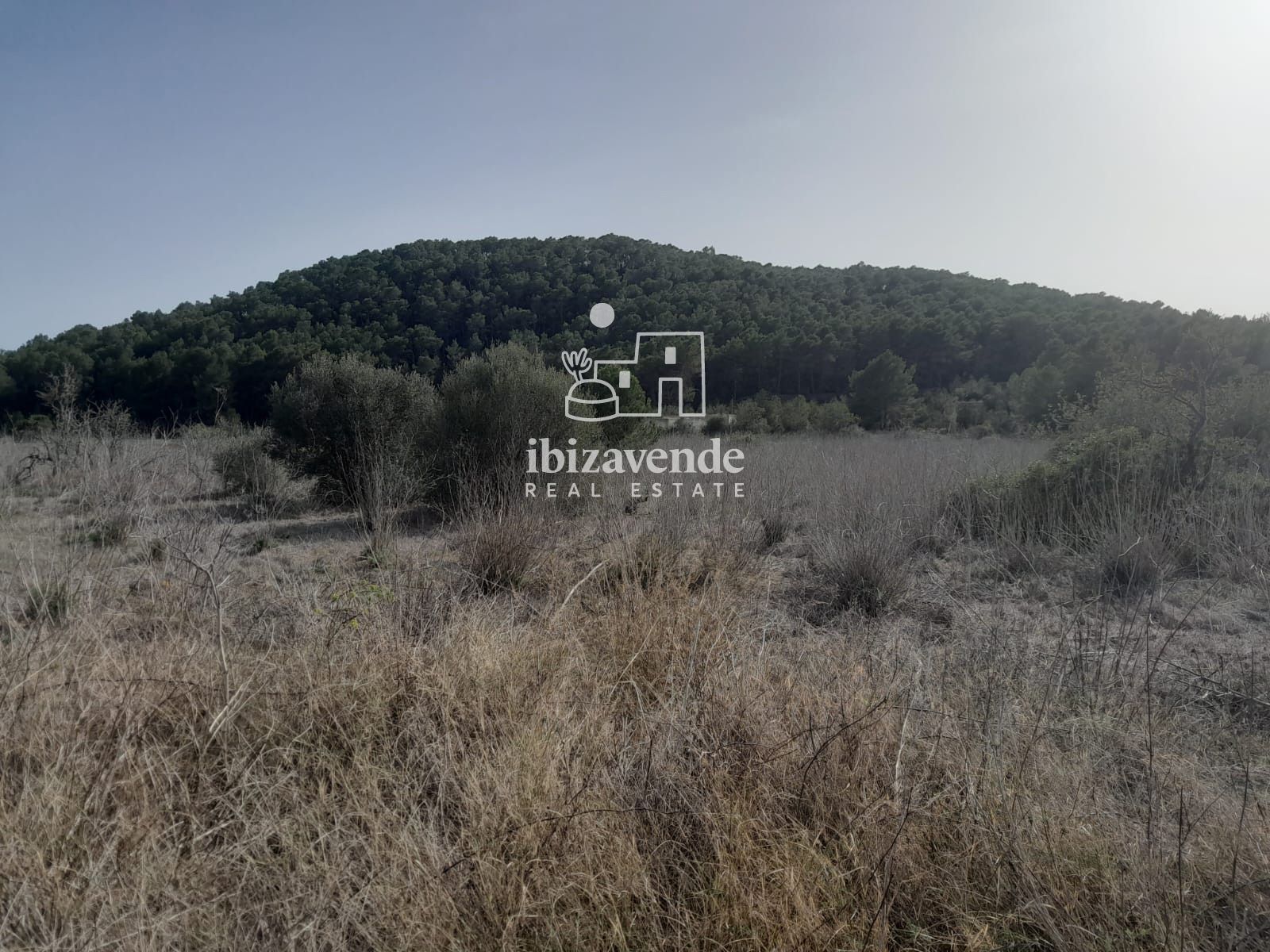 Mobilia Property Image