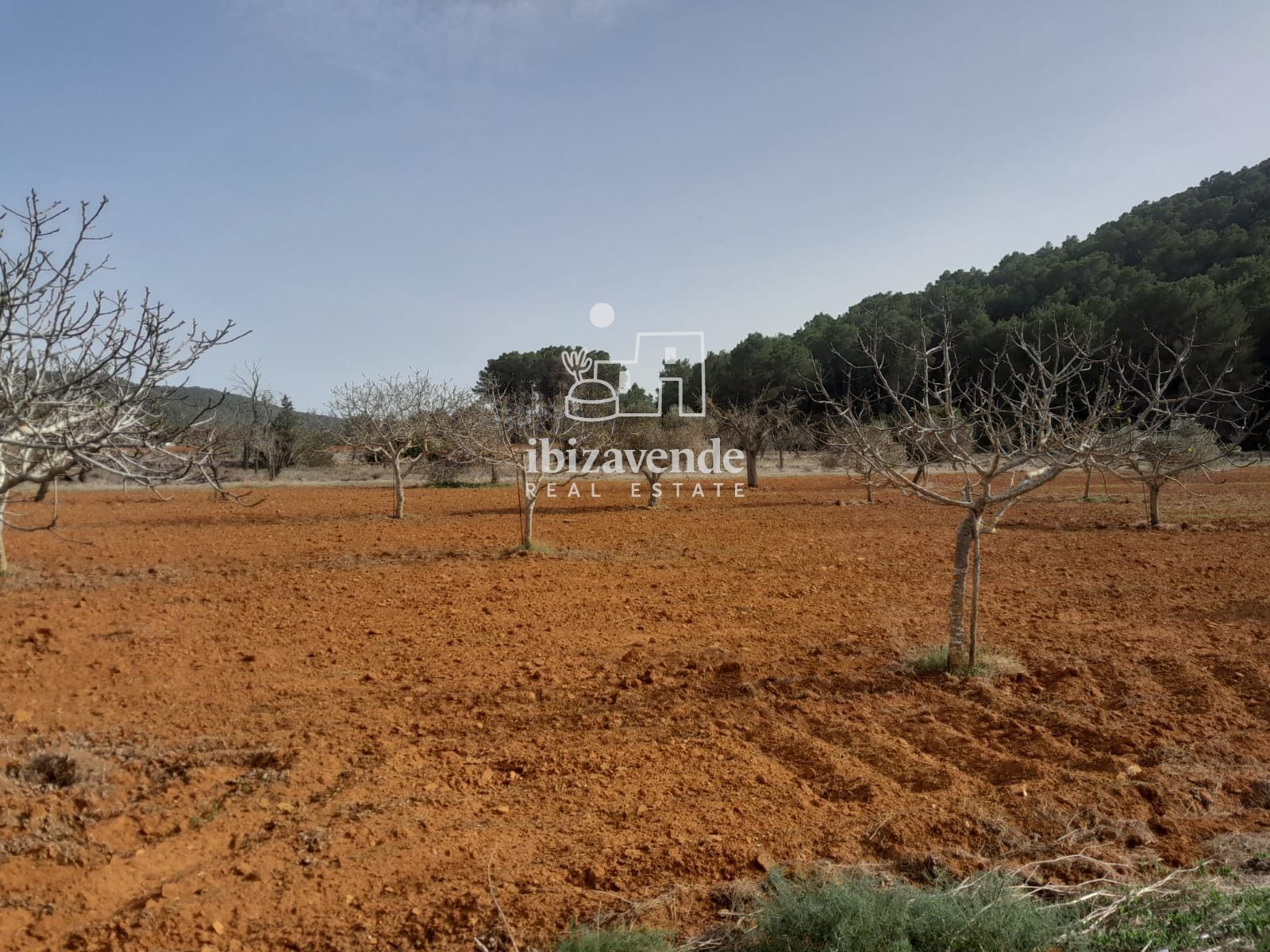 Mobilia Property Image