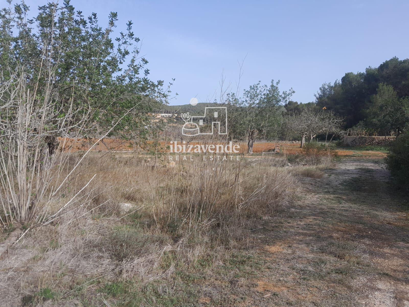 Mobilia Property Image