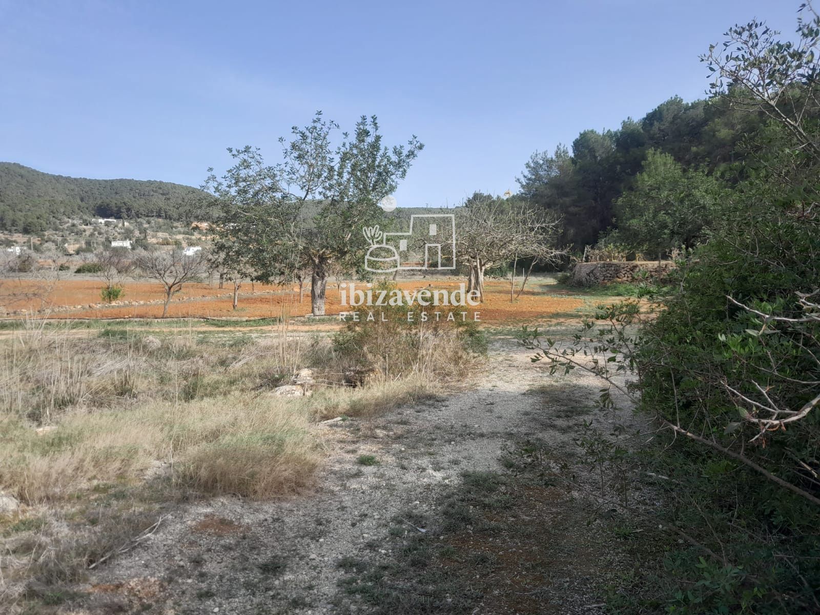 Mobilia Property Image