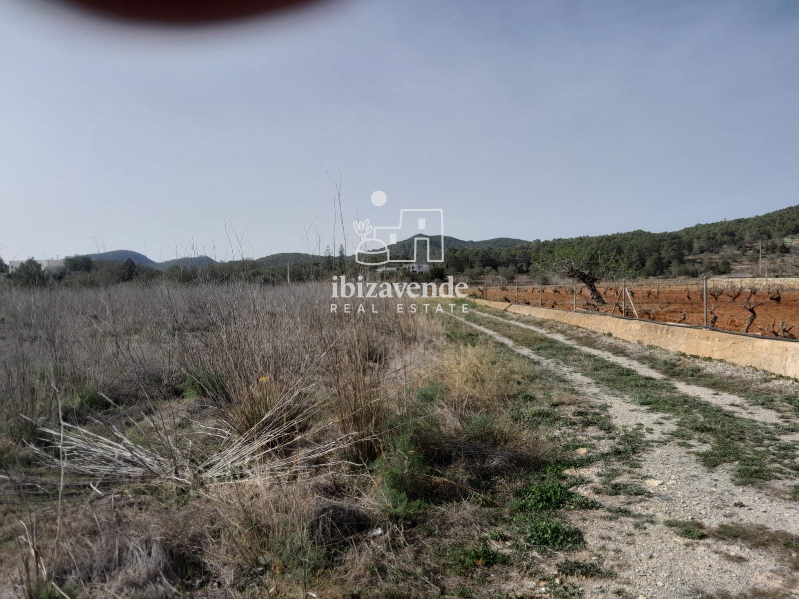 Mobilia Property Image