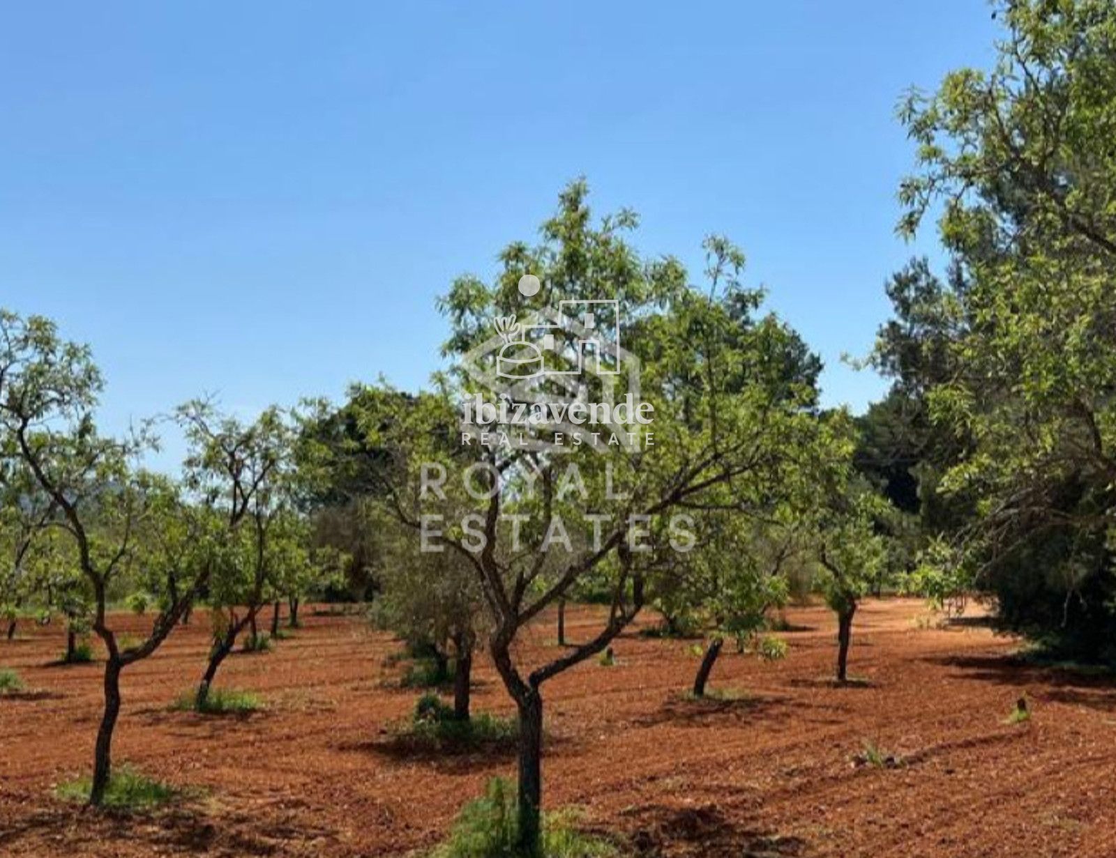 Mobilia Property Image
