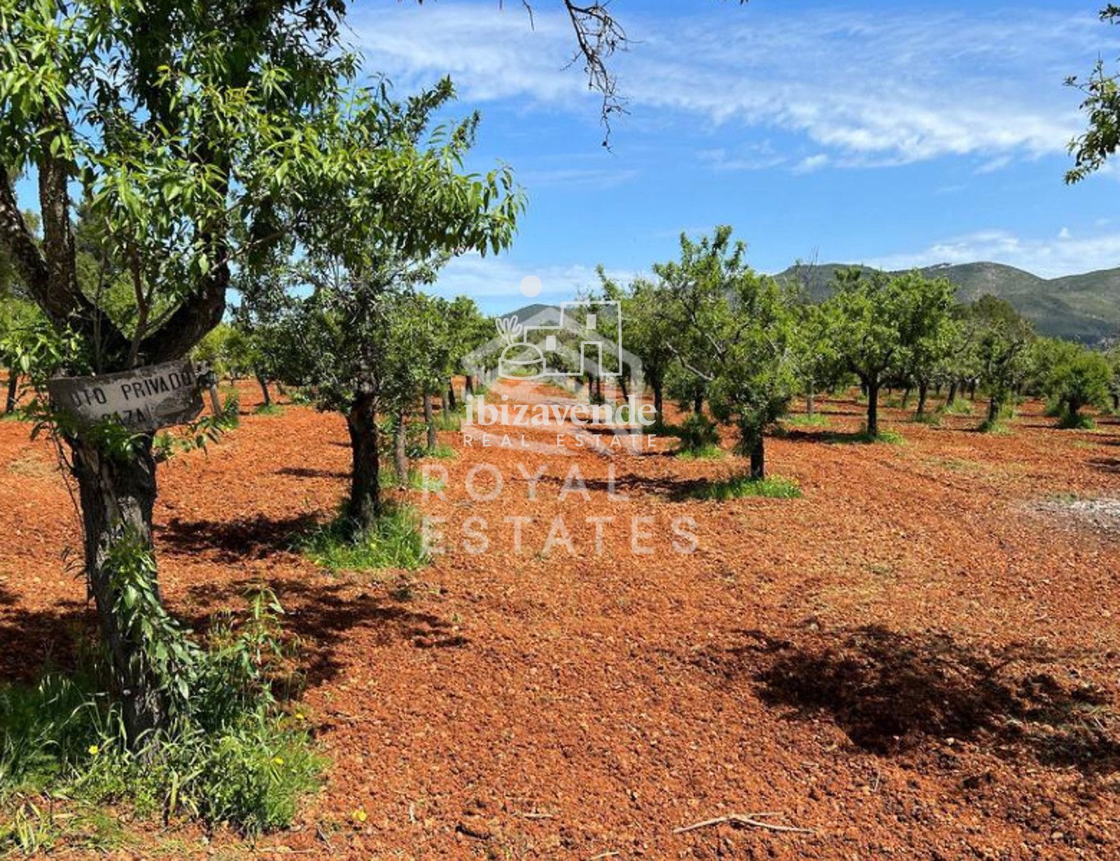 Mobilia Property Image