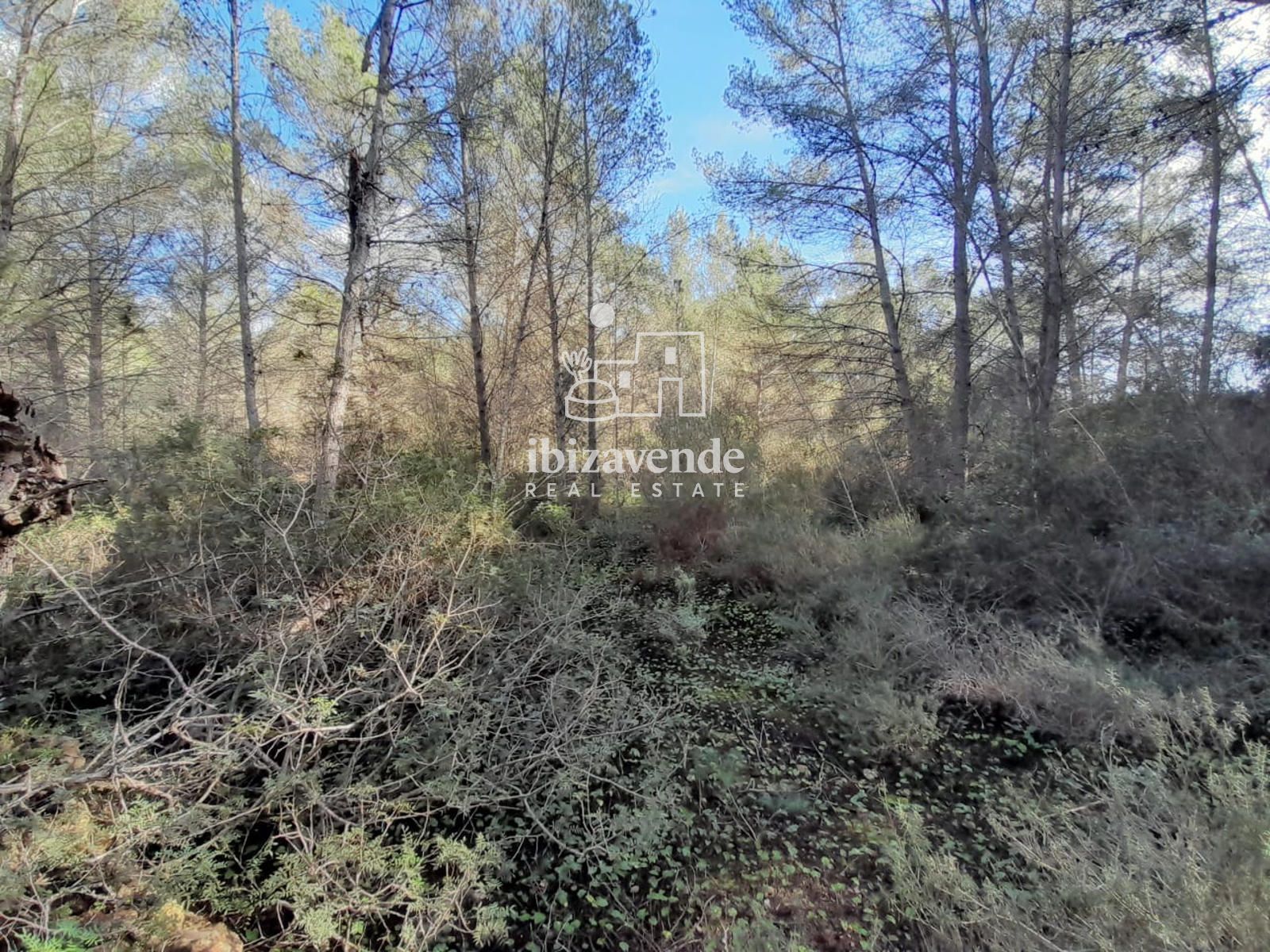 Mobilia Property Image