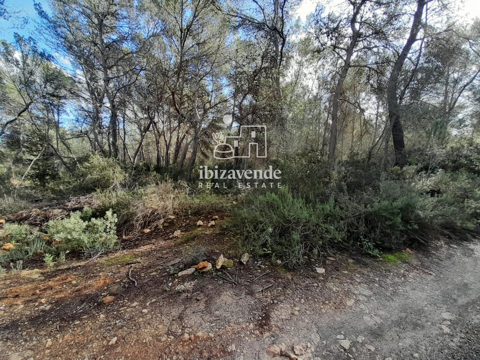 Mobilia Property Image